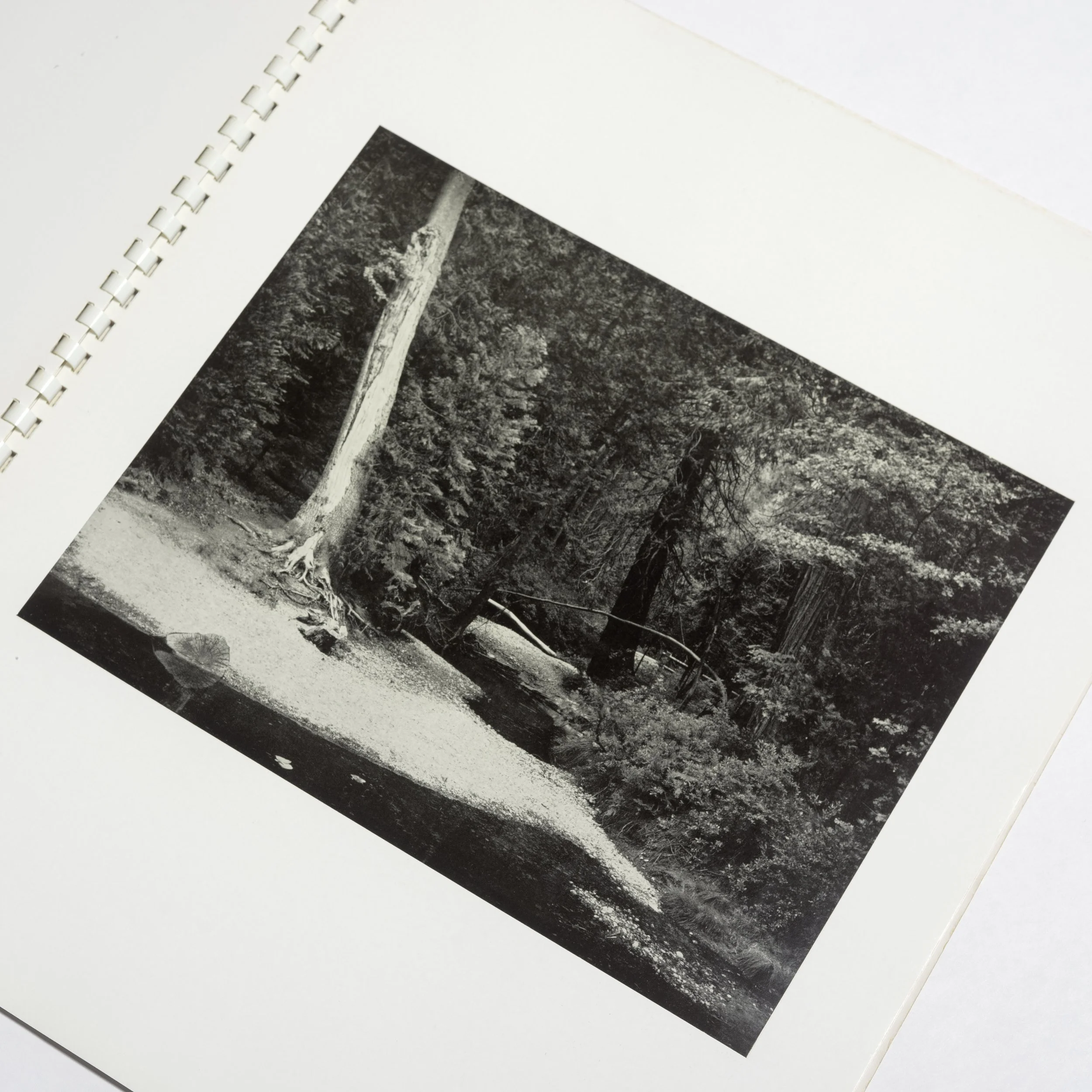 Plate_Close copy.jpg