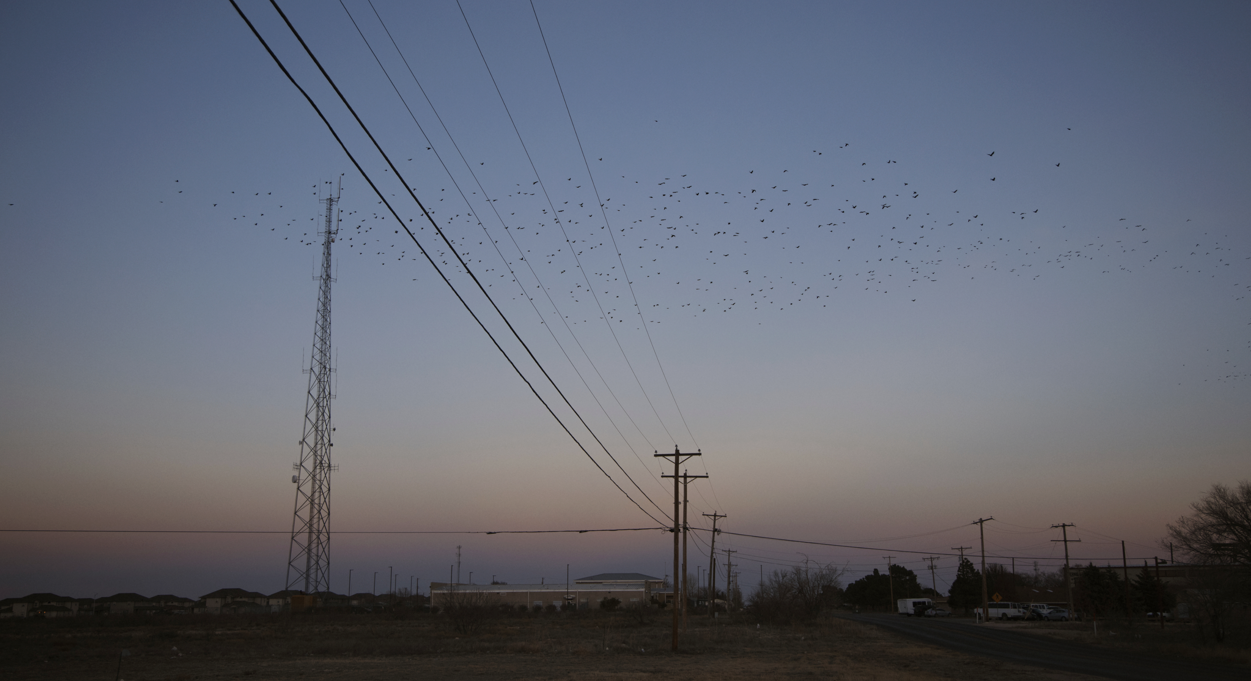 Screenshot 2026-03-11 at 1.26.22 PM.png