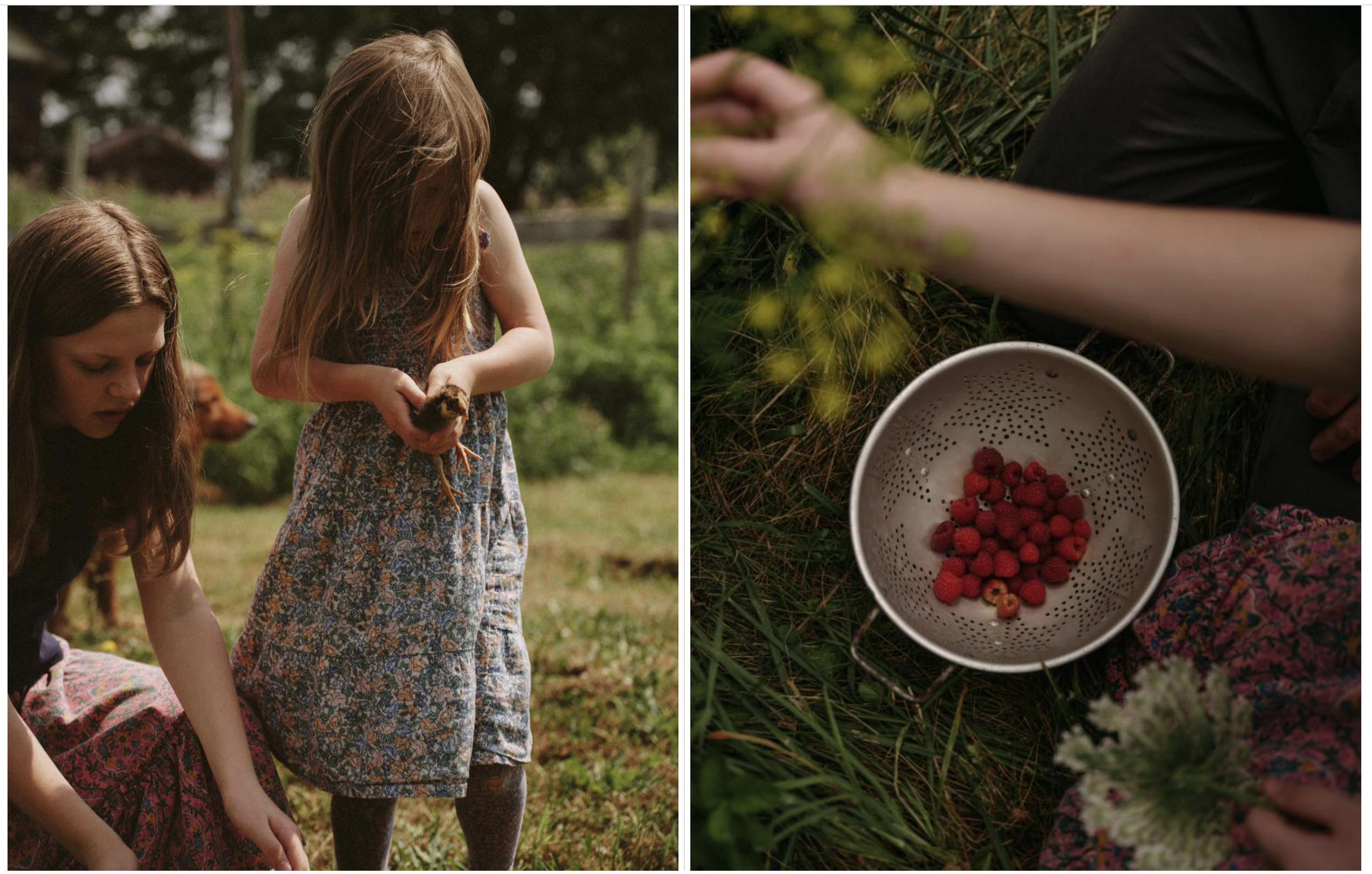 Screenshot 2026-03-12 at 5.04.23 PM.png