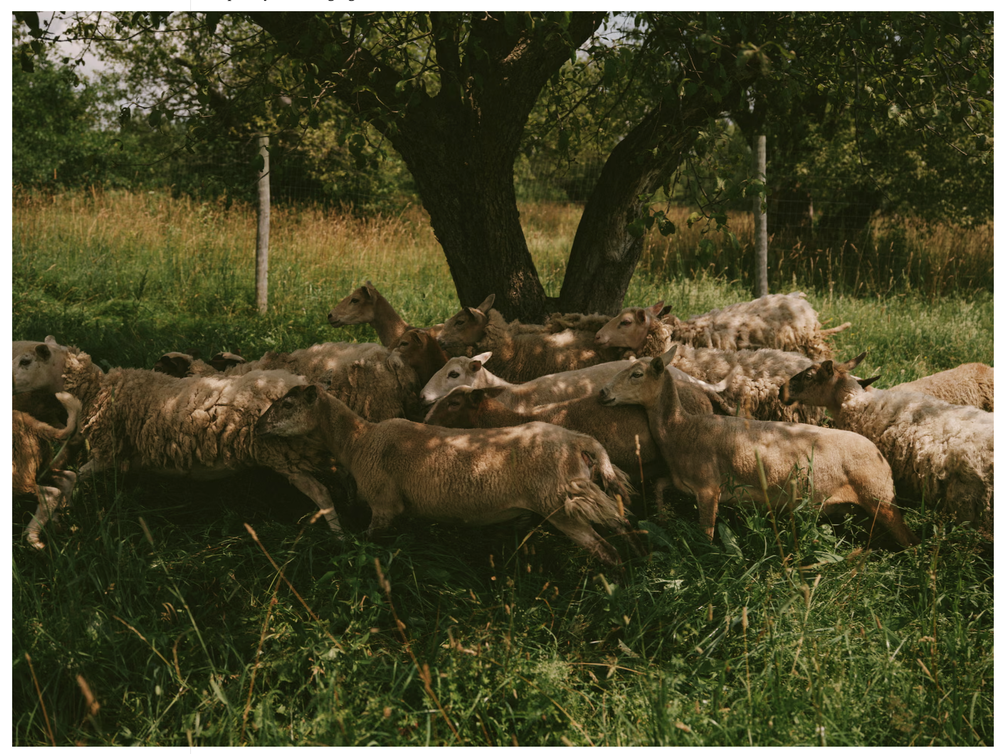 Screenshot 2026-03-12 at 5.05.00 PM.png