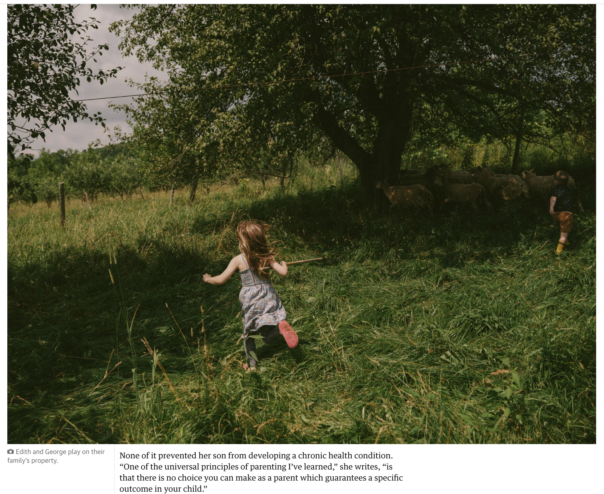 Screenshot 2026-03-12 at 5.05.22 PM.png