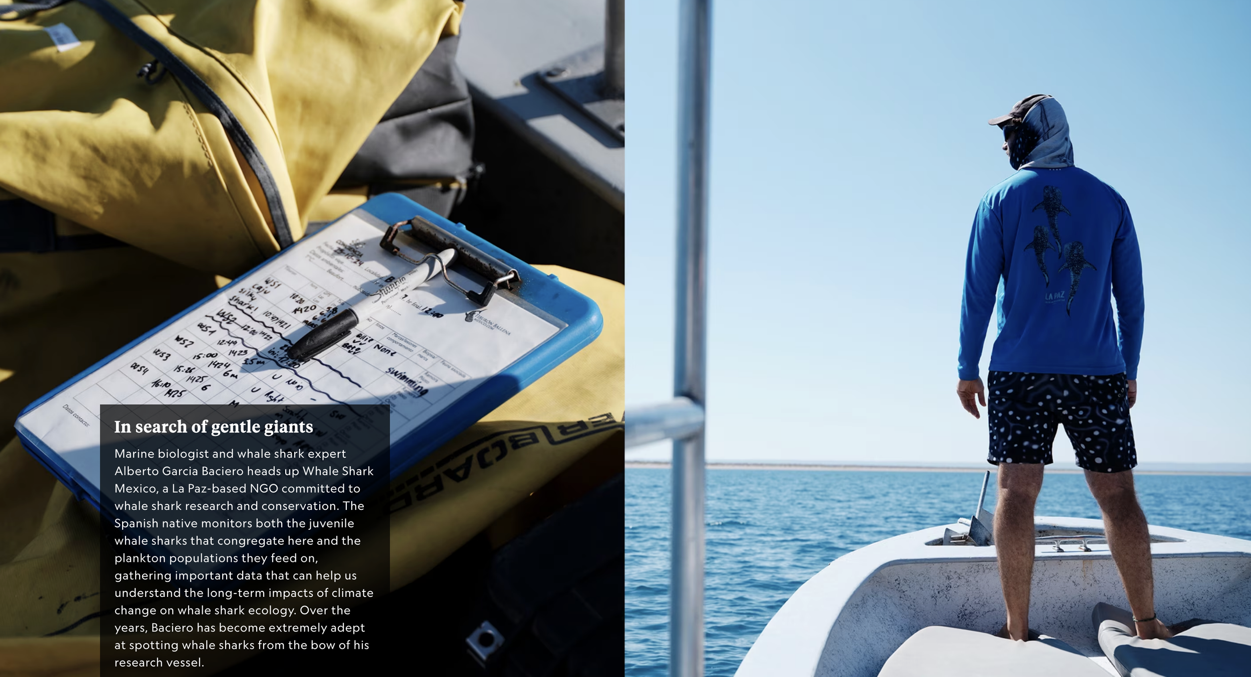 Screenshot 2026-03-12 at 5.07.11 PM.png