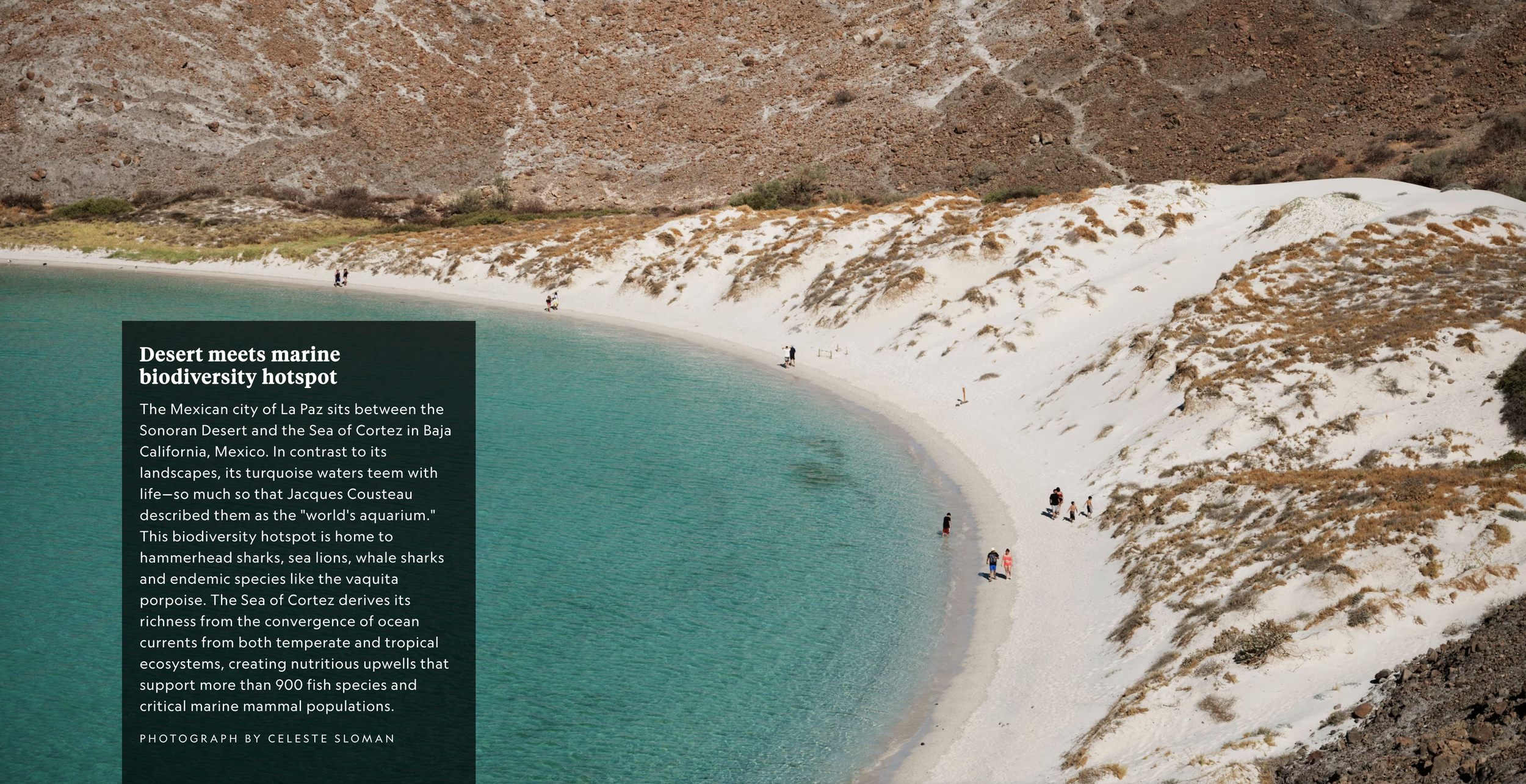 Screenshot 2026-03-12 at 5.06.56 PM.png