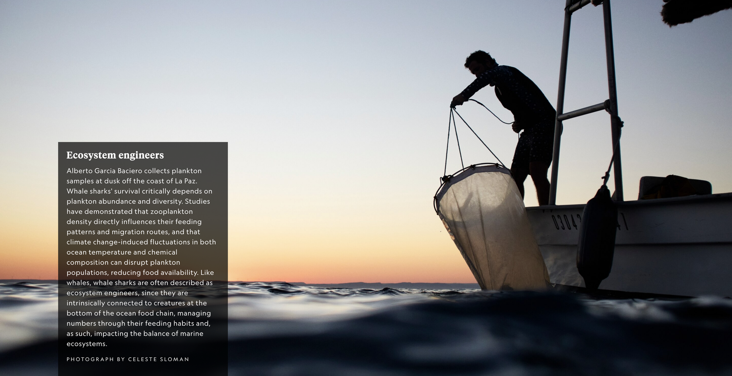 Screenshot 2026-03-12 at 5.07.36 PM.png