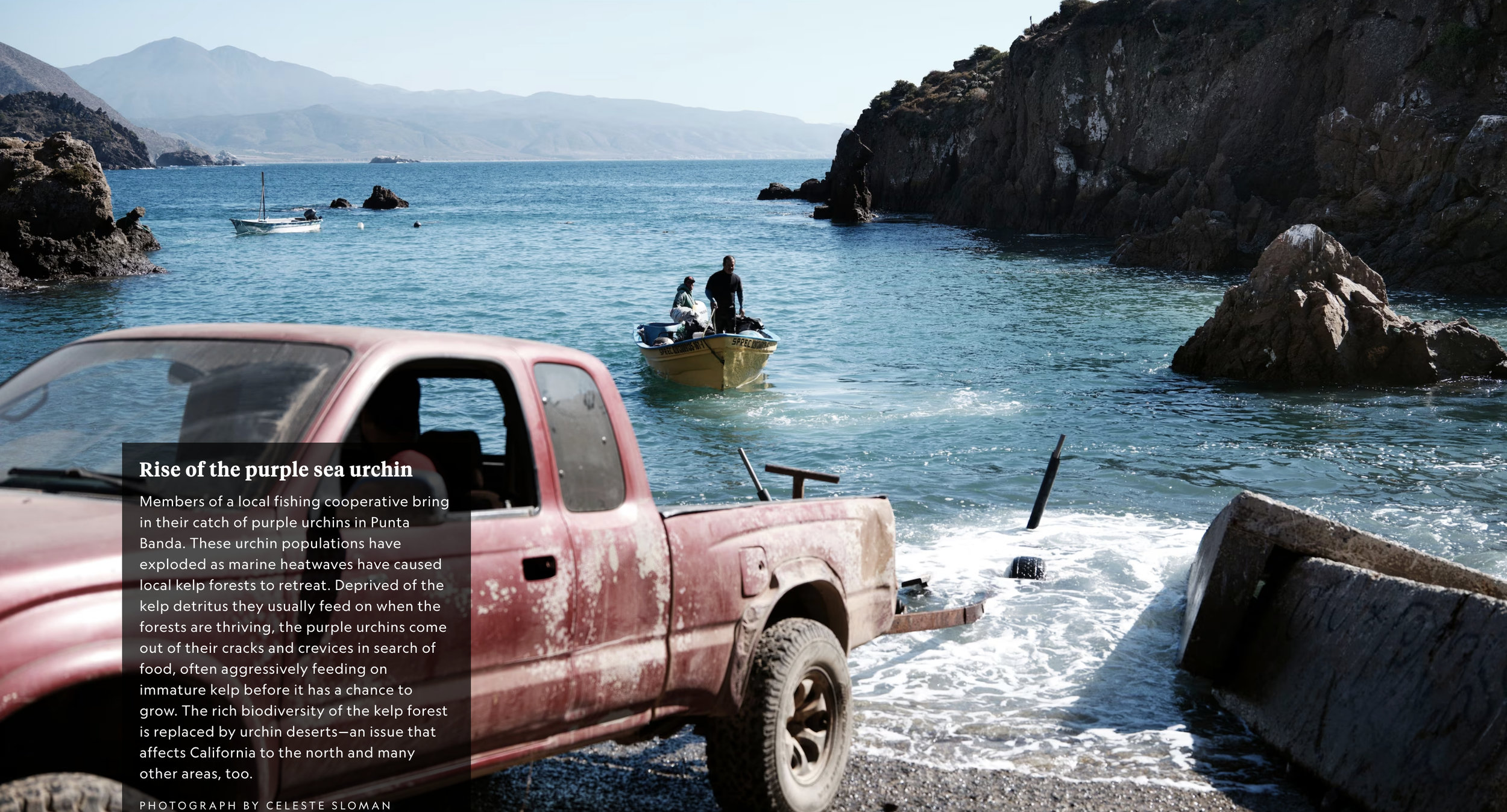 Screenshot 2026-03-12 at 5.08.31 PM.png