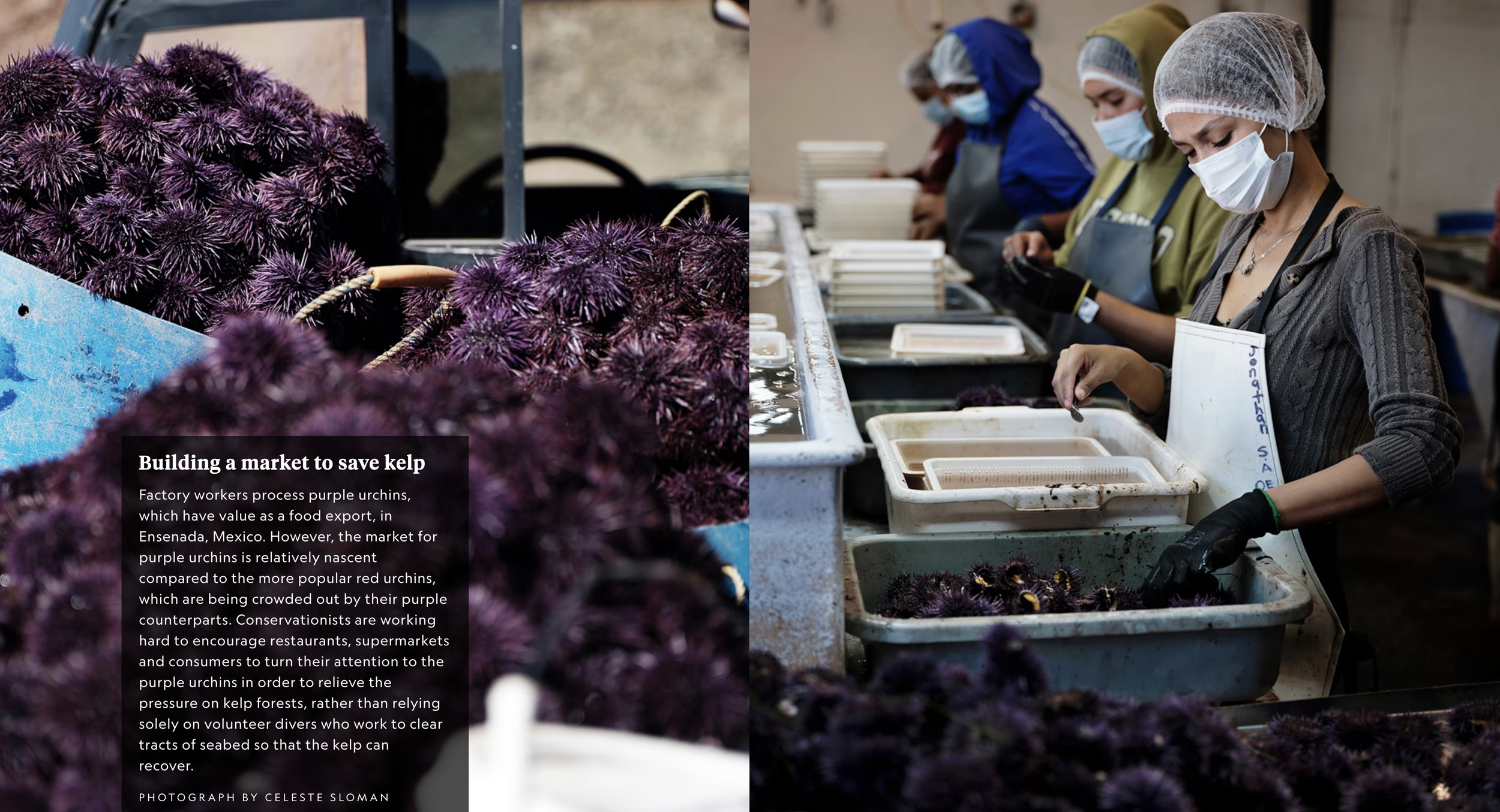 Screenshot 2026-03-12 at 5.08.48 PM.png