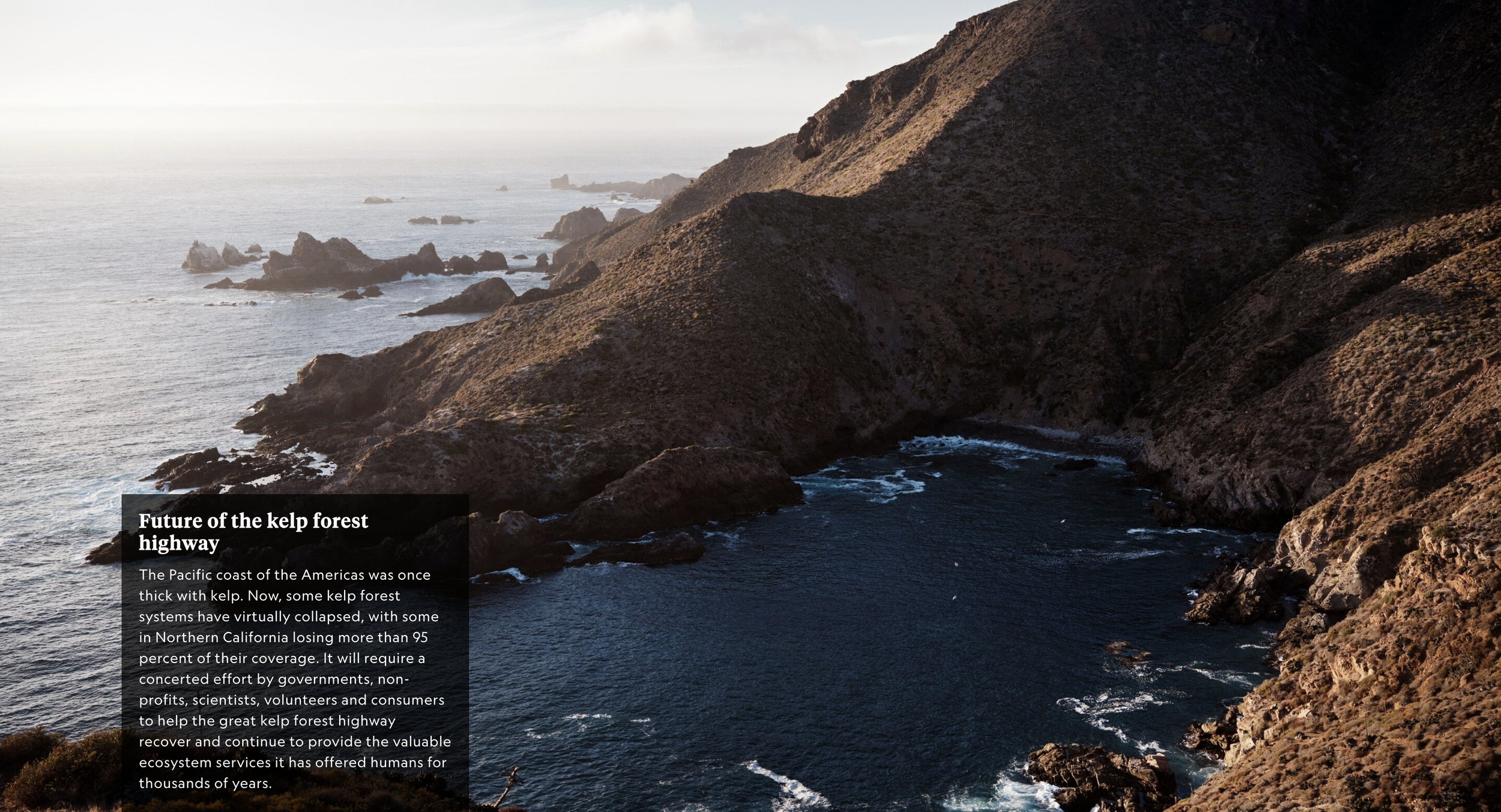 Screenshot 2026-03-12 at 5.09.00 PM.png