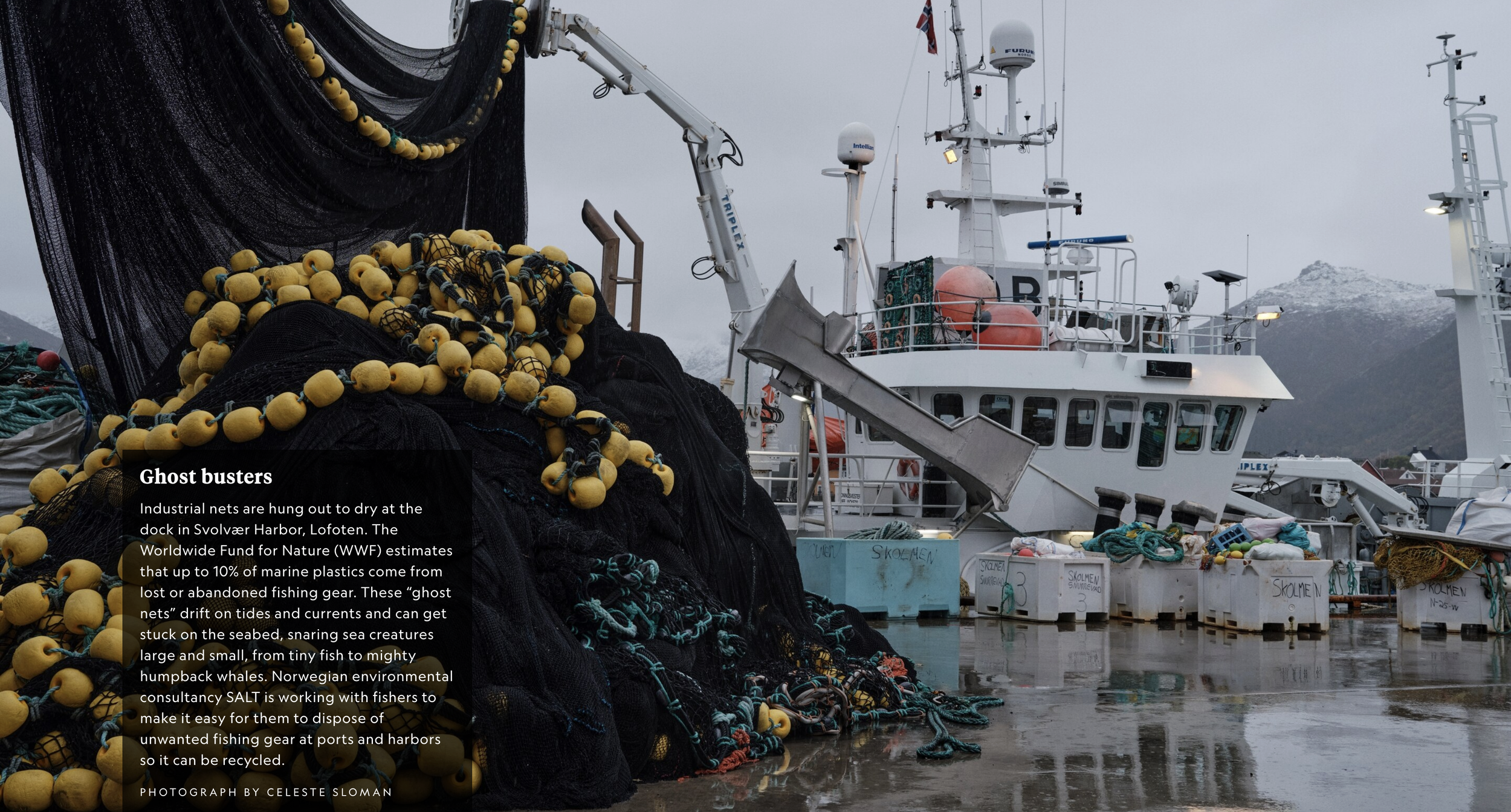 Screenshot 2026-03-12 at 5.09.48 PM.png