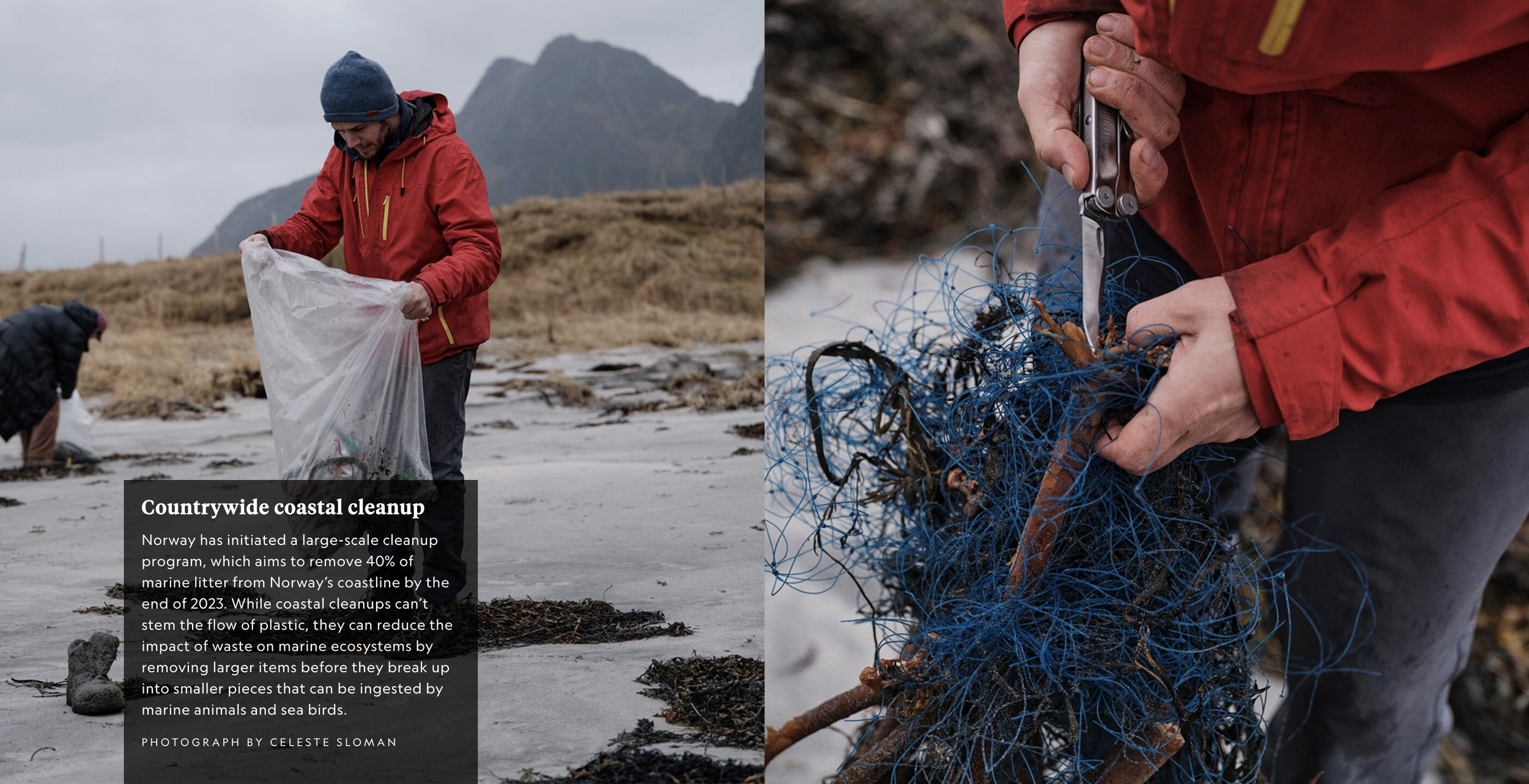 Screenshot 2026-03-12 at 5.10.04 PM.png