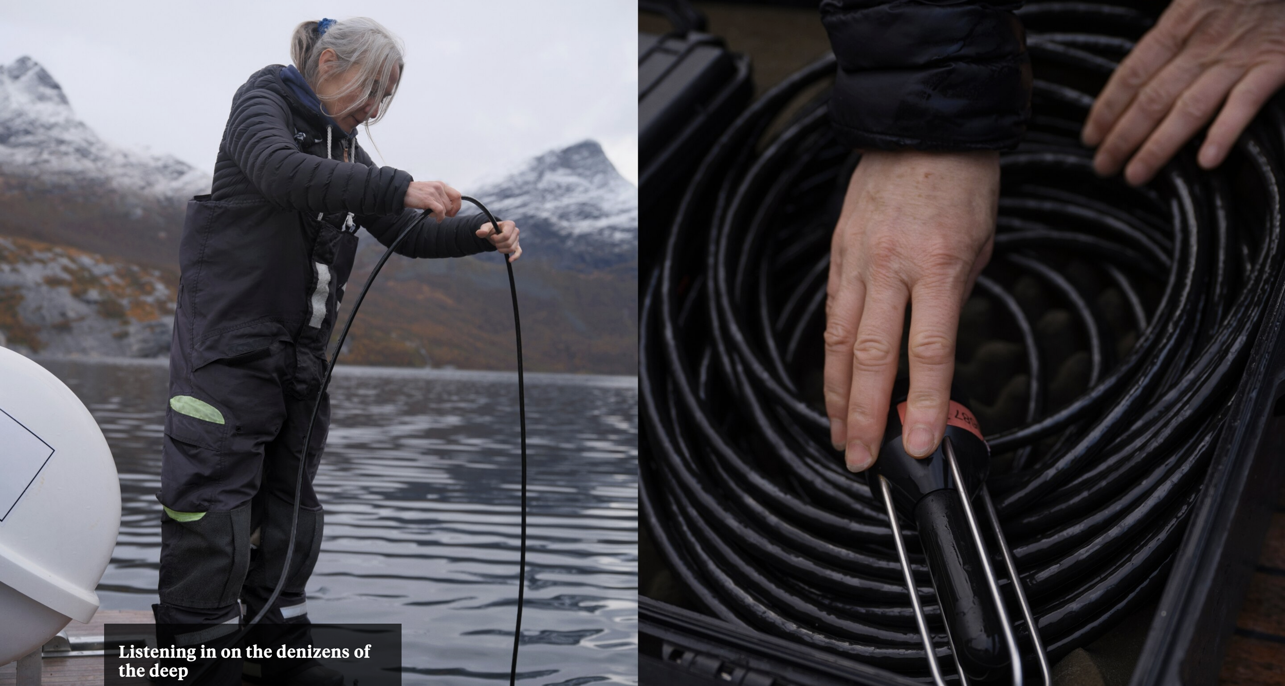 Screenshot 2026-03-12 at 5.11.57 PM.png