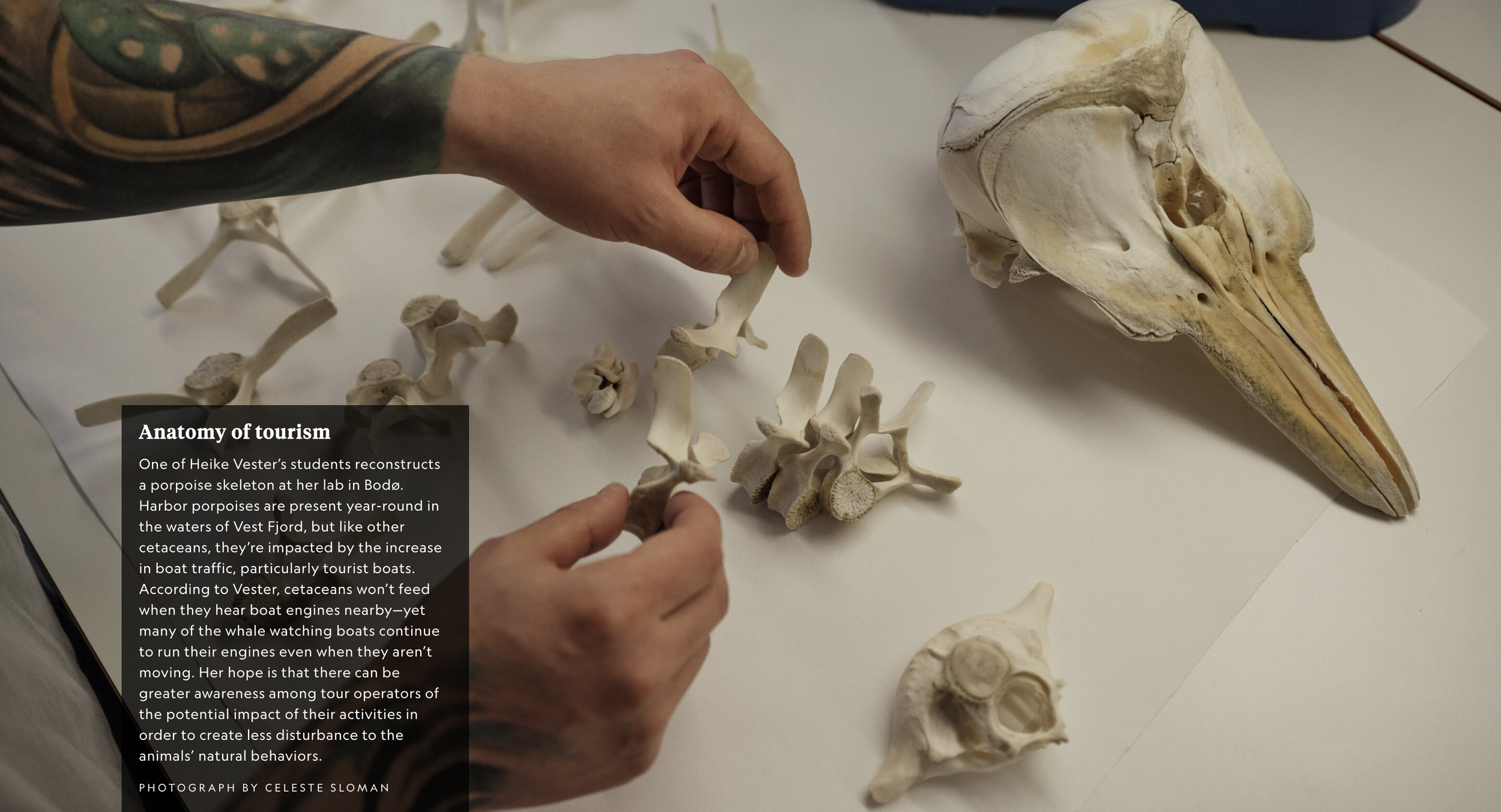 Screenshot 2026-03-12 at 5.12.14 PM.png