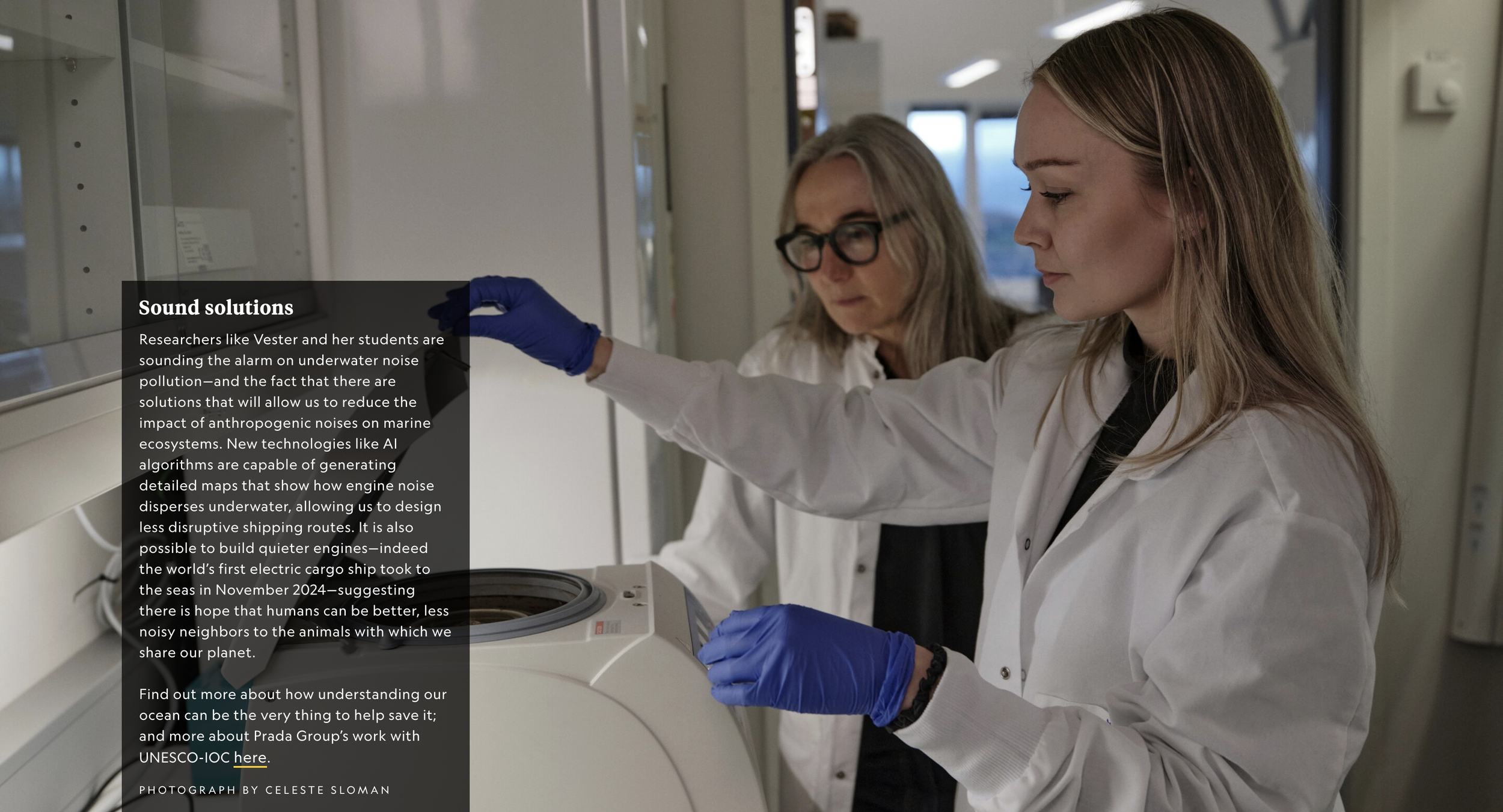 Screenshot 2026-03-12 at 5.12.29 PM.png