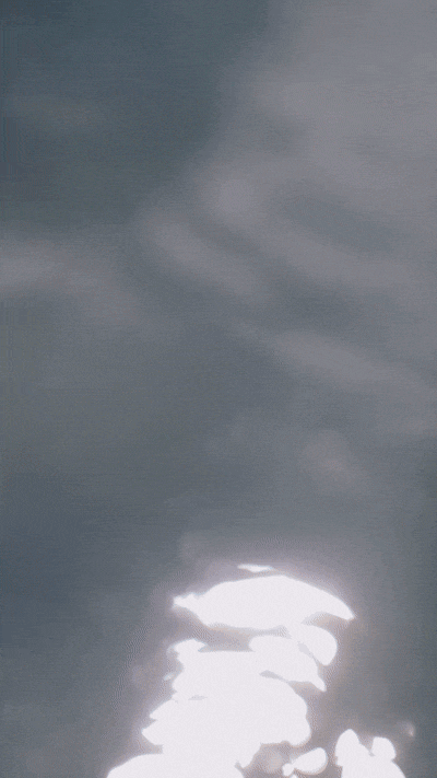 MARY-MACGILL_2026_Vert_20sec_V1-ezgif.com-optimize.gif