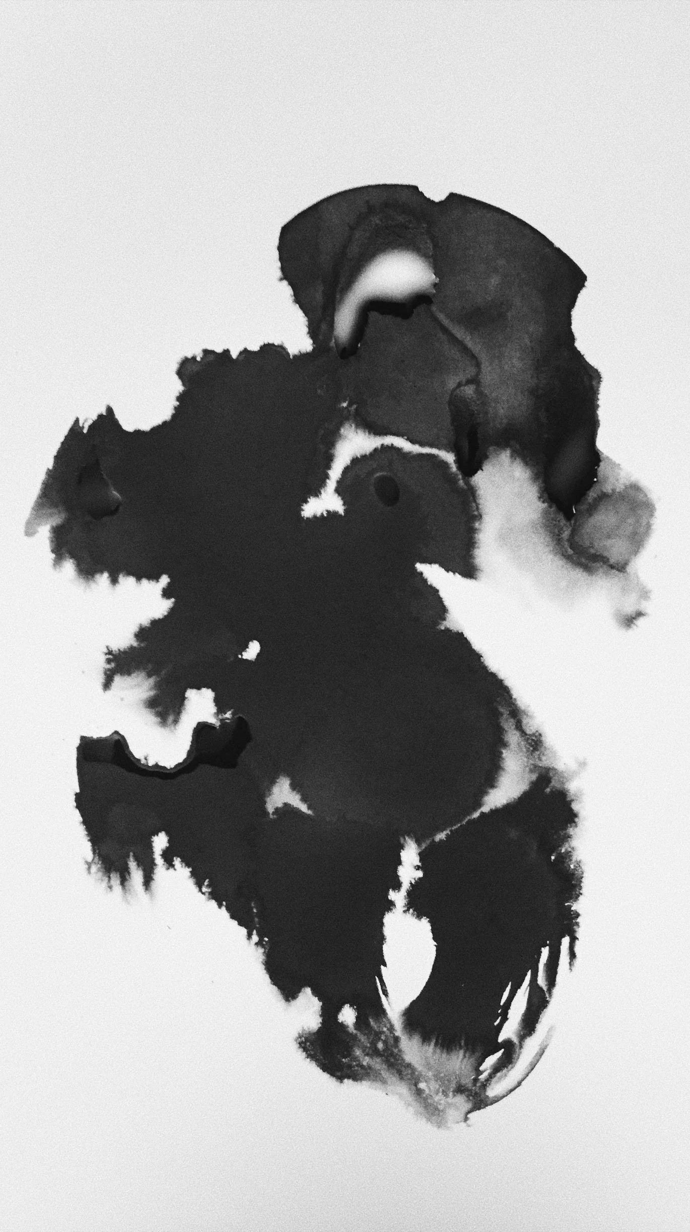 2019-04-10 20.19.31-1.jpg
