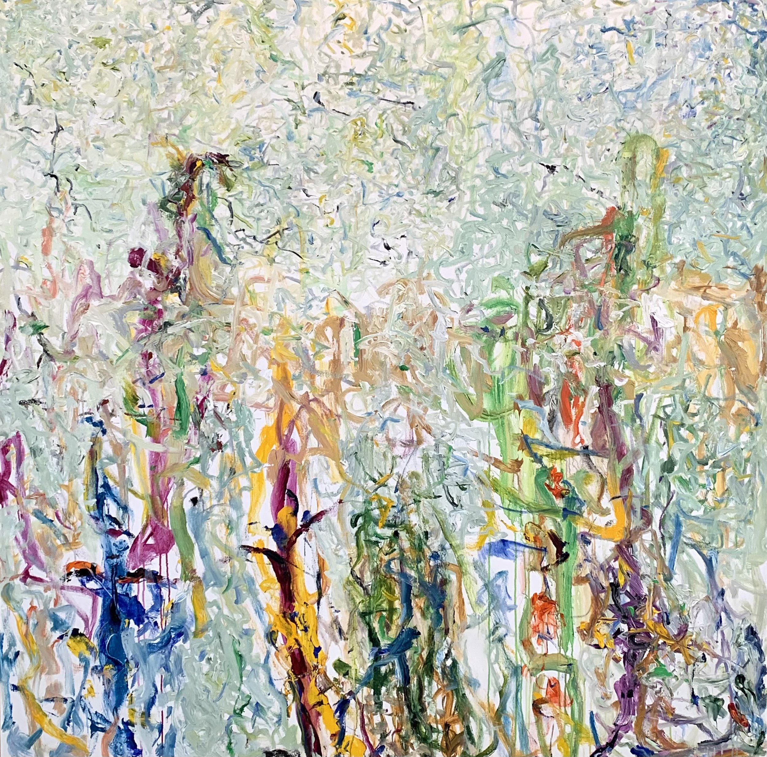 "Opening No. 206, Garden: Inside/Outside," 72"x72" acrylic on canvas
