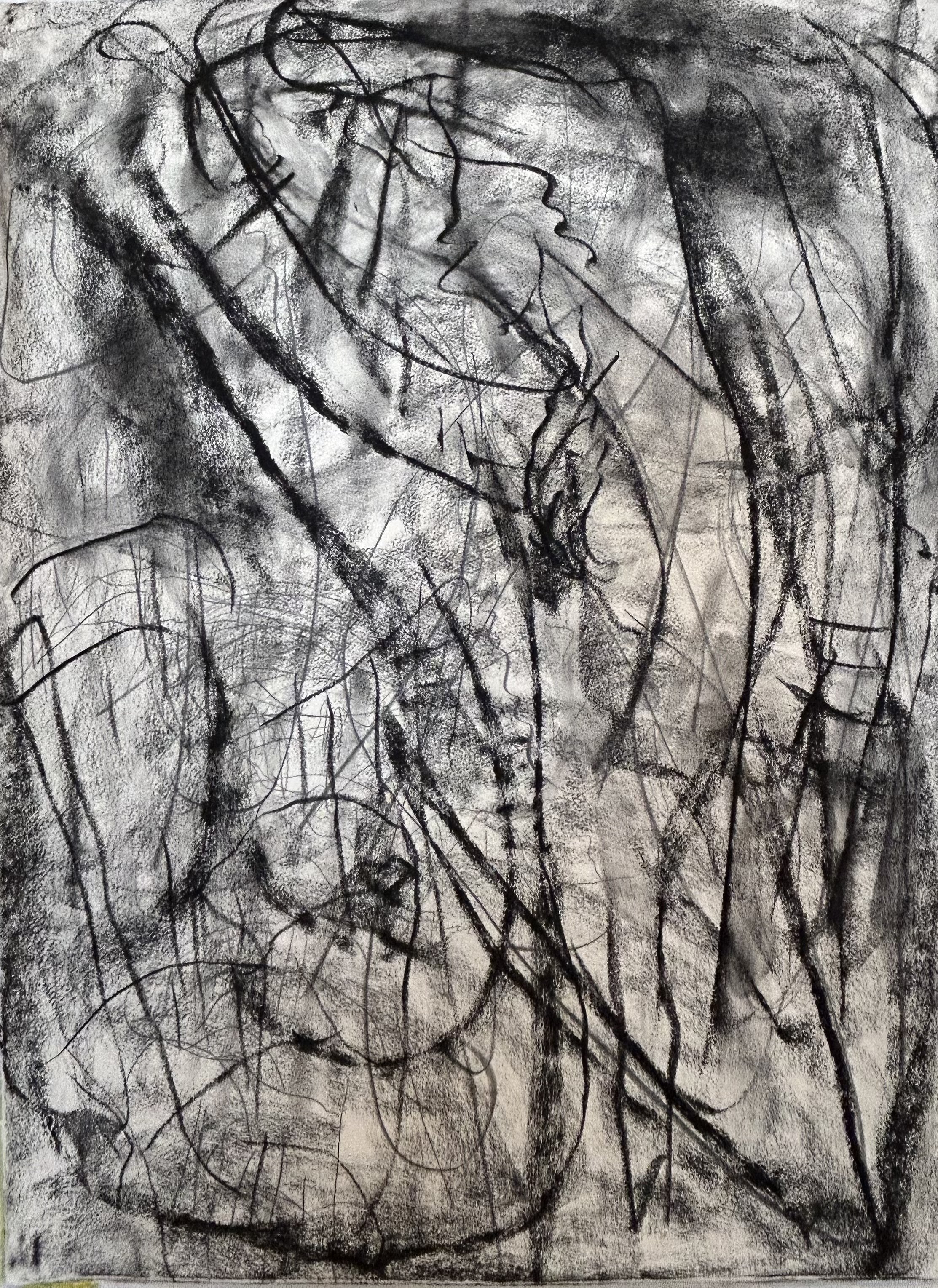 “Up Towards the Sky” 5-16-2014, charcoal & pencil  on Arches coverwhite, 39”x22”