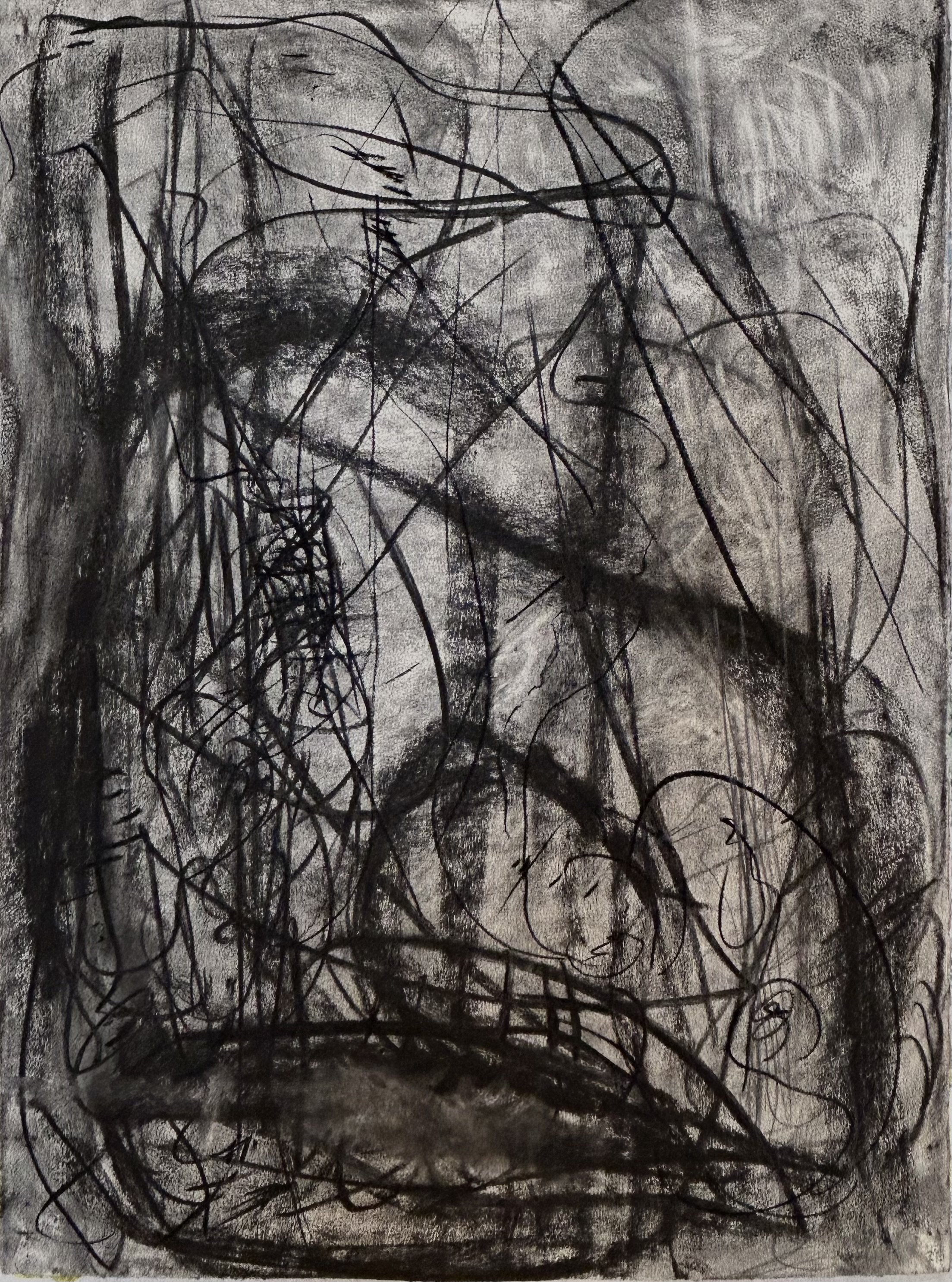 5-21-2014, charcoal & pencil on Arches coverwhite, 30”x22”