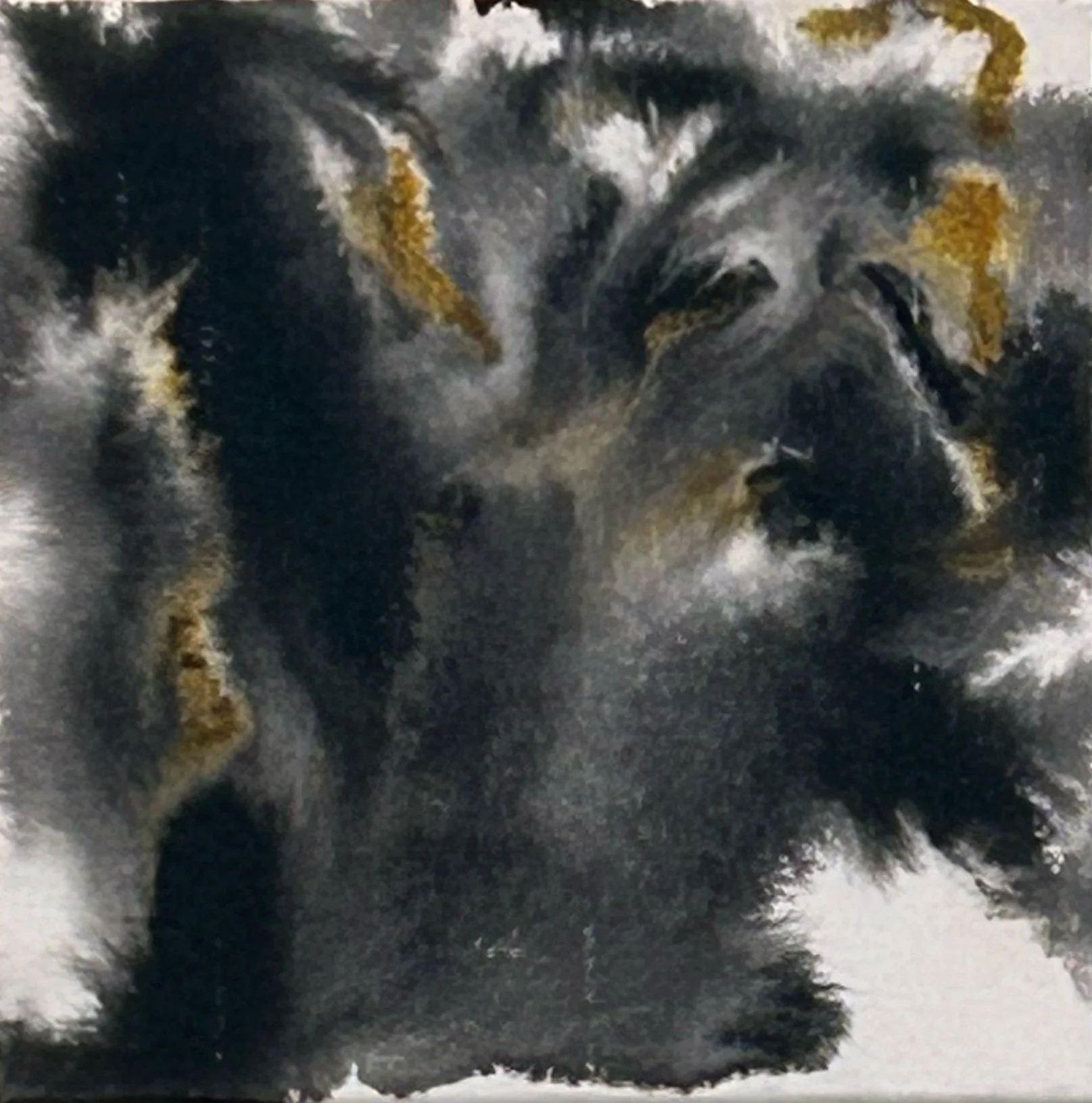 “8-11-‘25,” Sumi & FW ink on canvas, 8”x8”