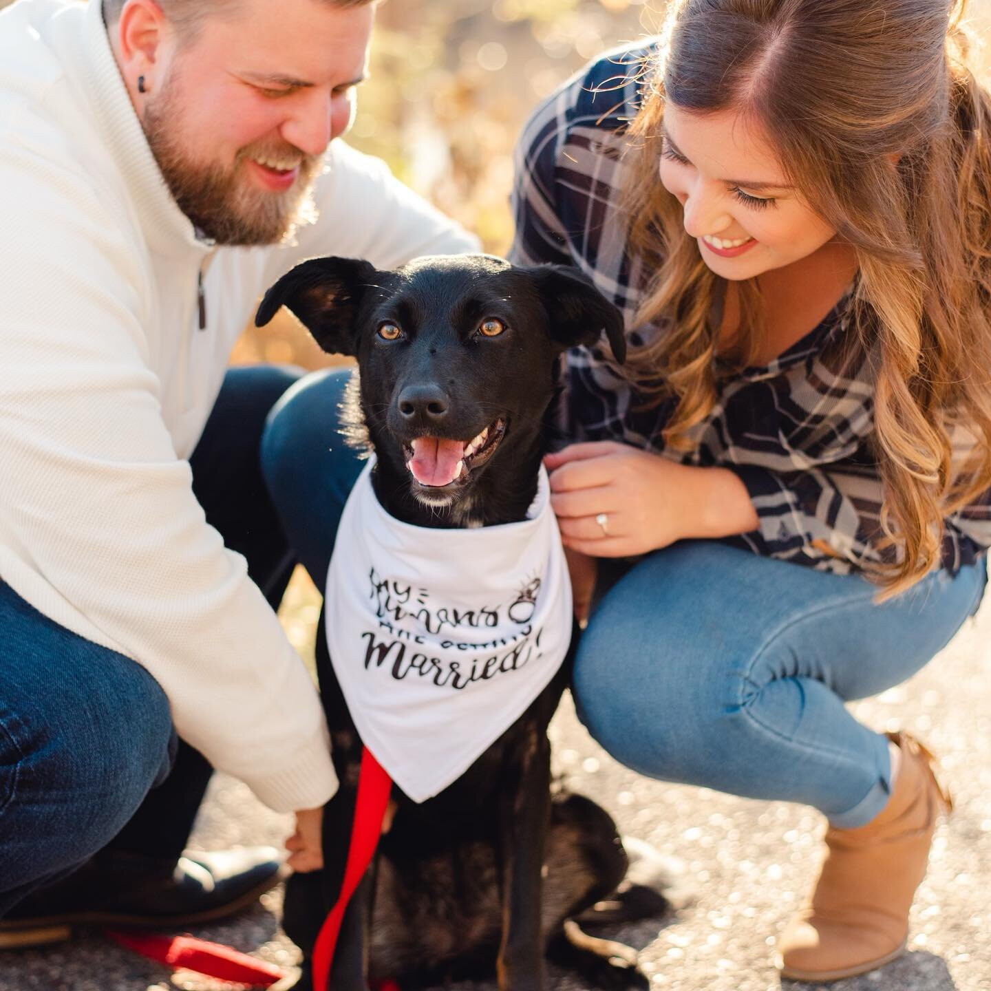 The sweetest engagement pics with a cameo of their pup!! Thank you for sharing Rachel🥰@bauercreativephoto 📷 #engagementphotos #instapuppy #bridetobe #softmakeup #engagementmakeup #makeup #nautralbeauty #natural #mnartist #happy #photooftheday #phot