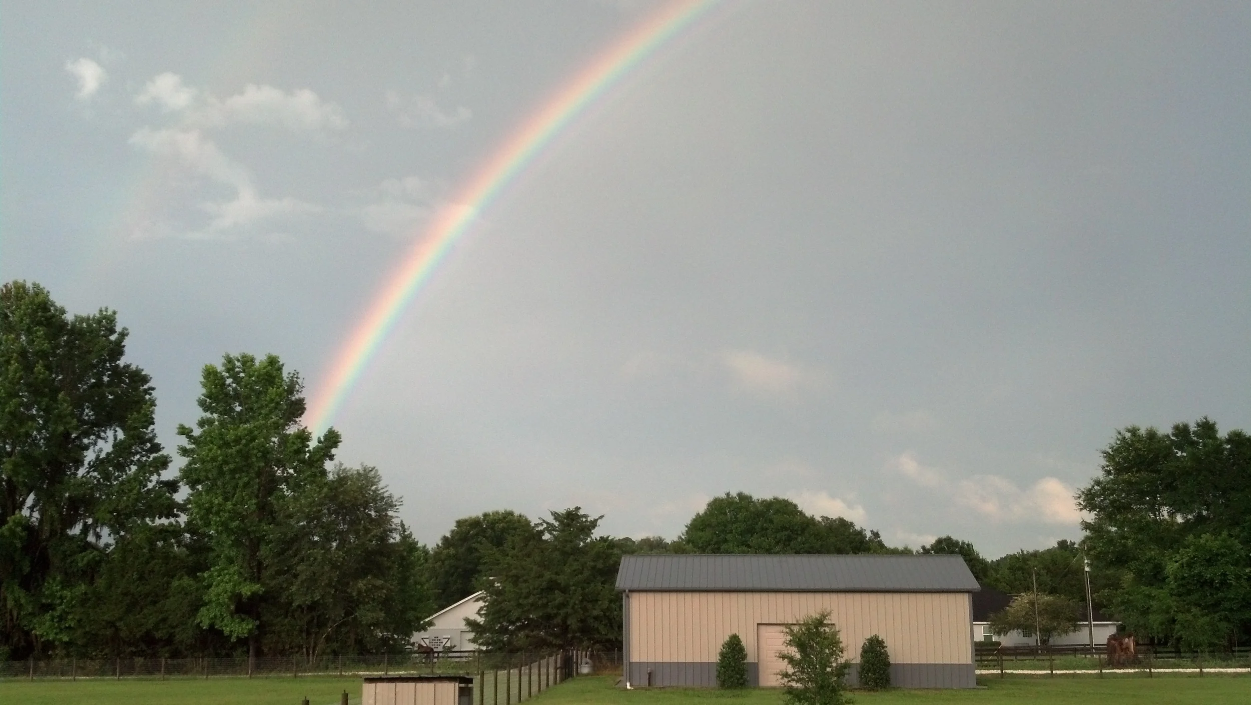 Always plenty of beautiful things to see...