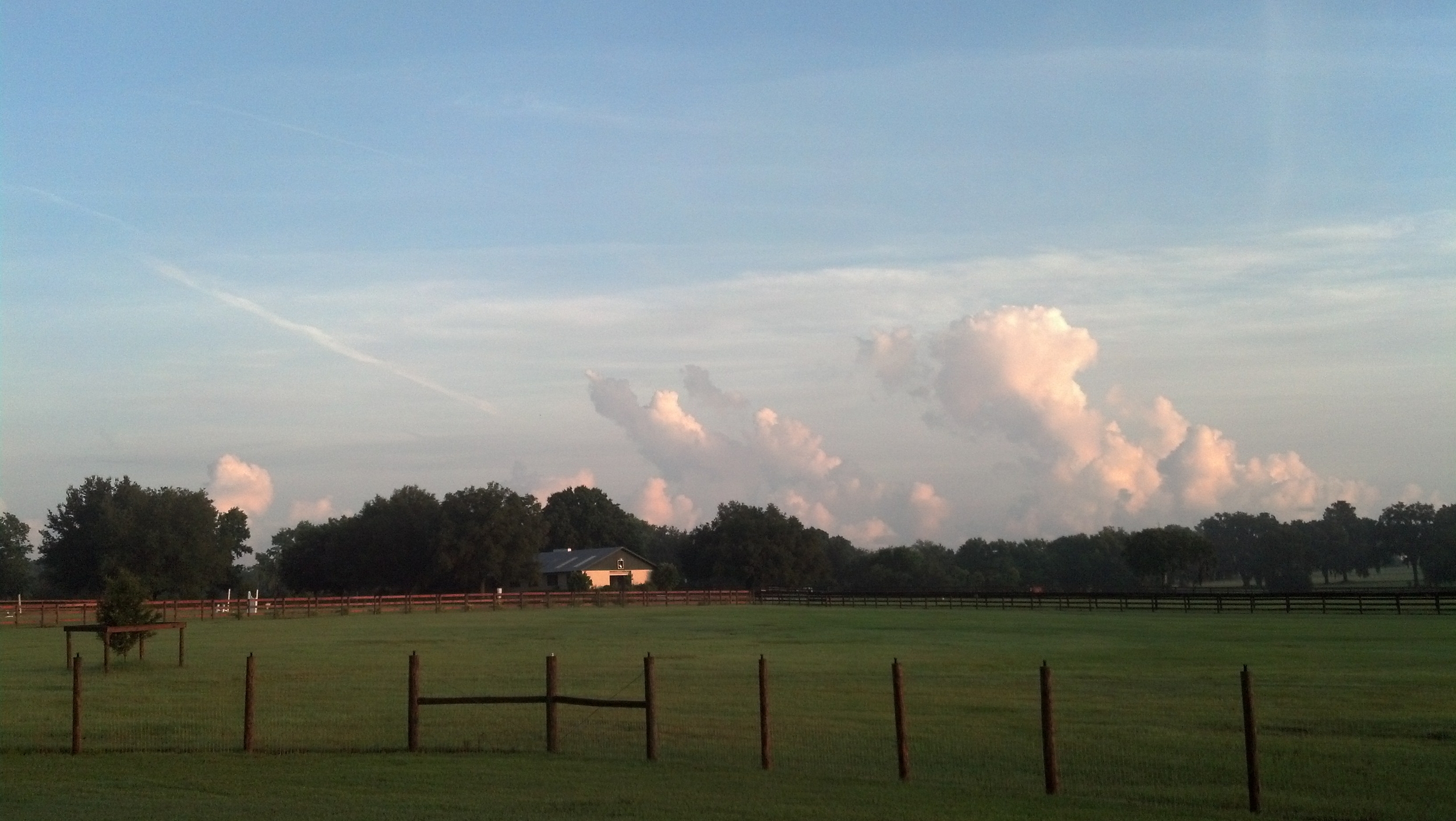Morning after a storm in June