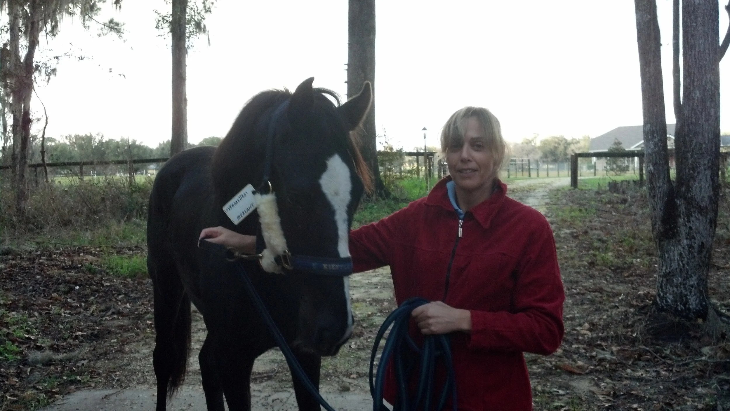Arrival at Dutch Dream Farm!