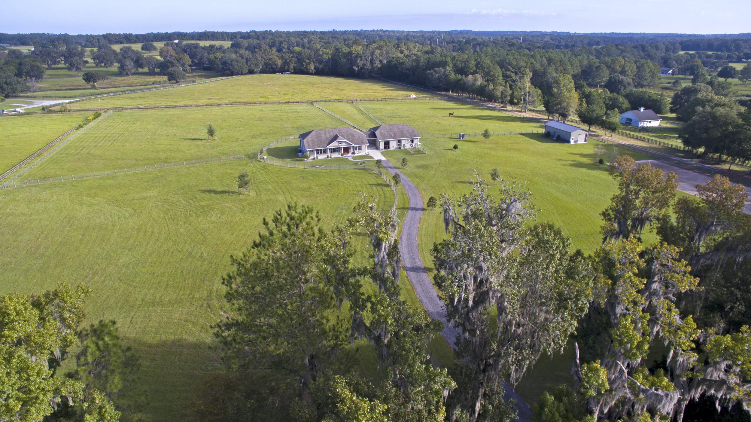 Dutch Dream Farm!