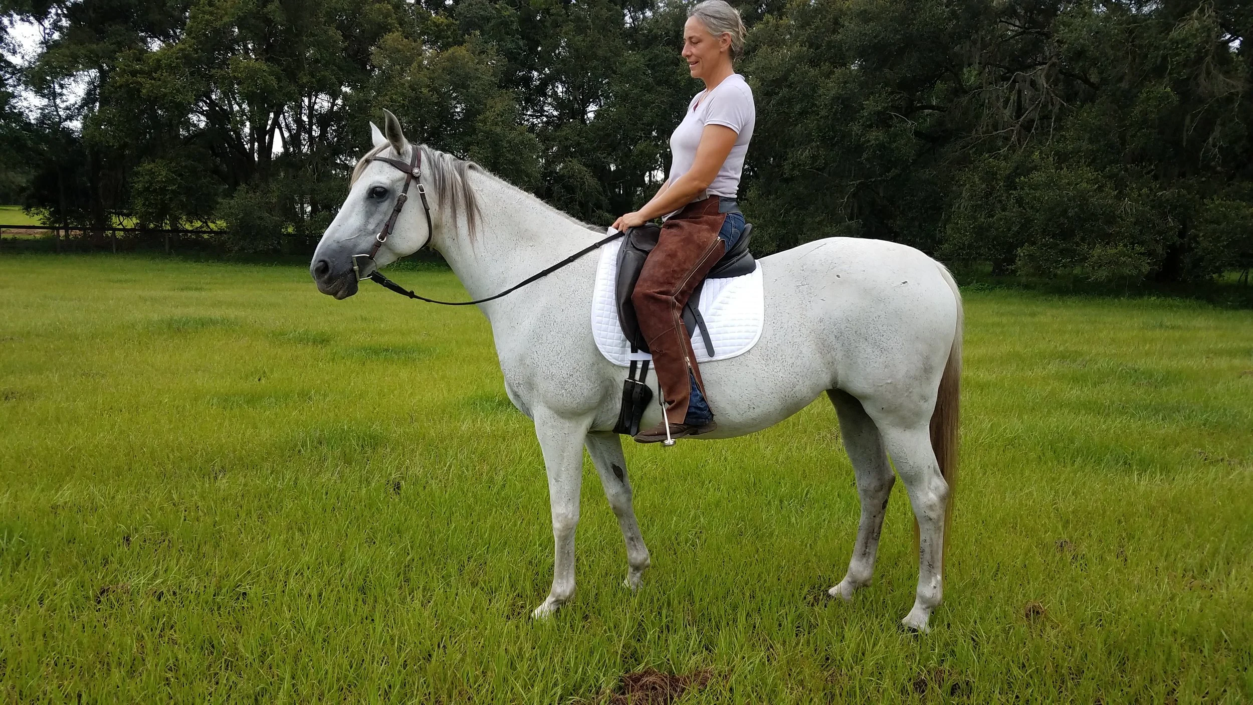 Student Liz with one of her beautiful mares, a Quarter horse/P.R.E. cross