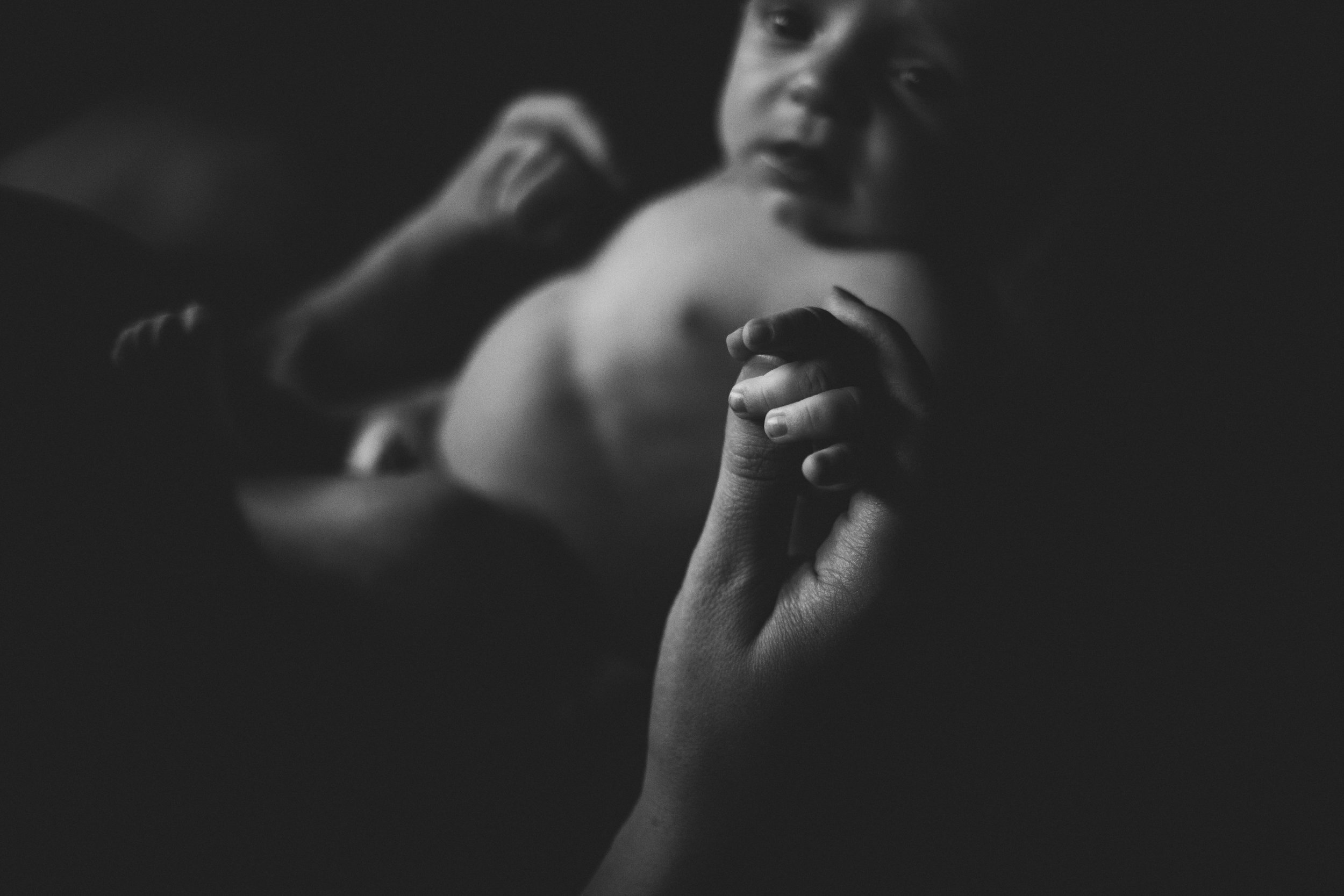 Sara Zinn Photography Newborn