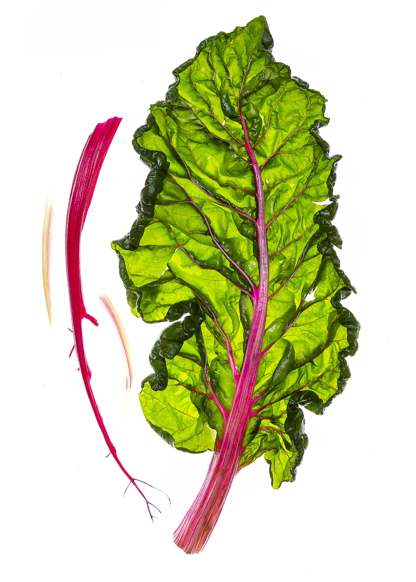 Chard-Vert-Highres.jpg