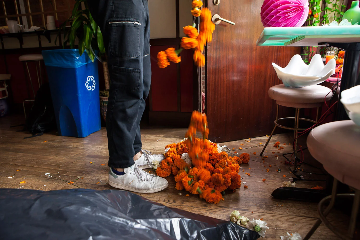 Tangled-Marigolds.jpg
