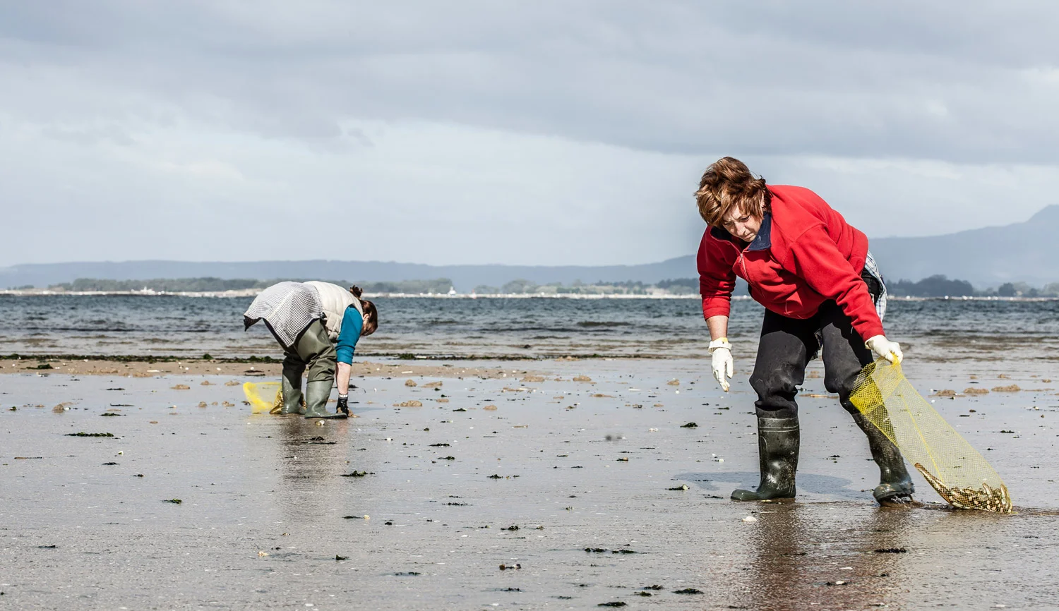 Harvesting-Razor-Clams.jpg