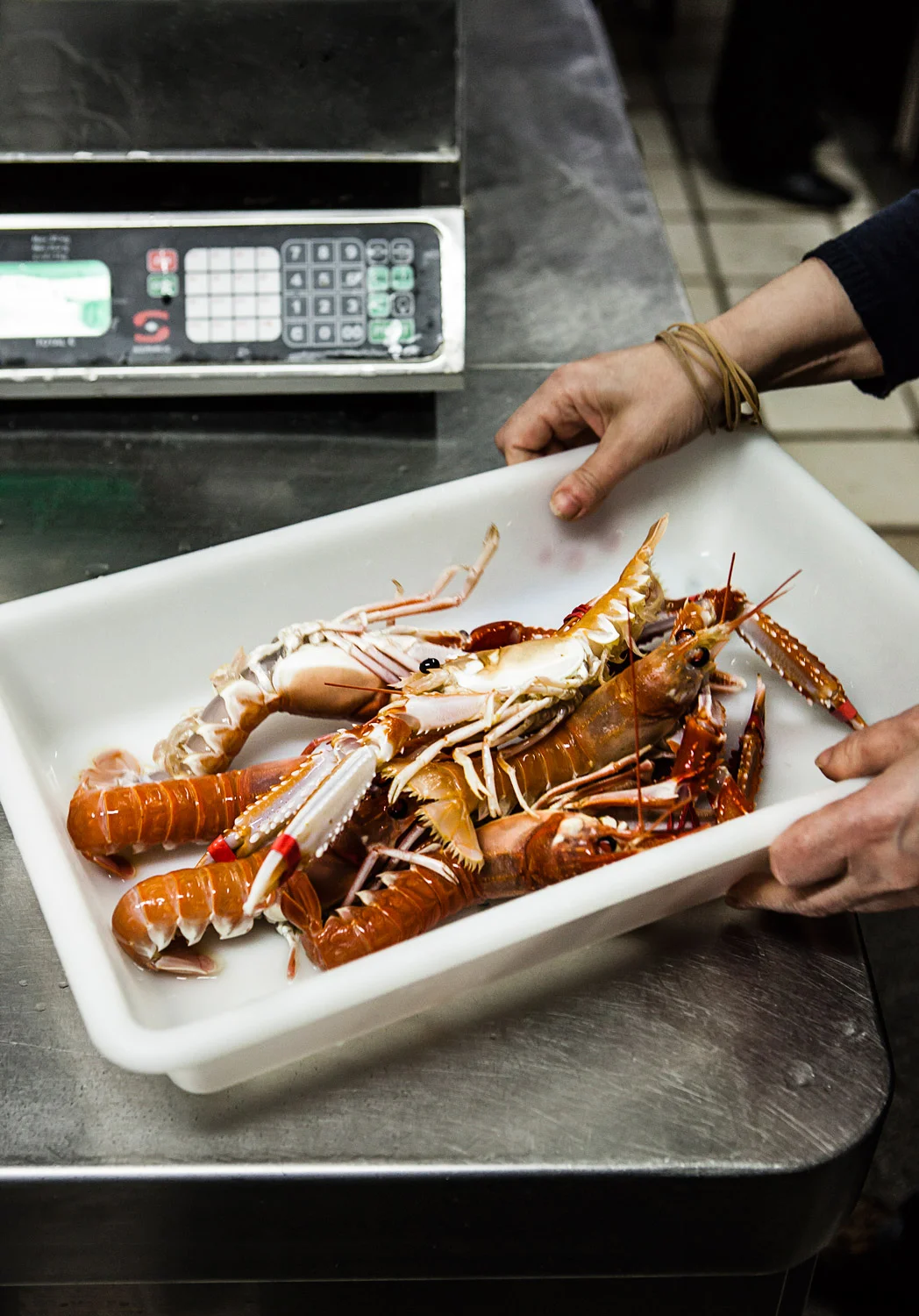 Langoustines-2.jpg