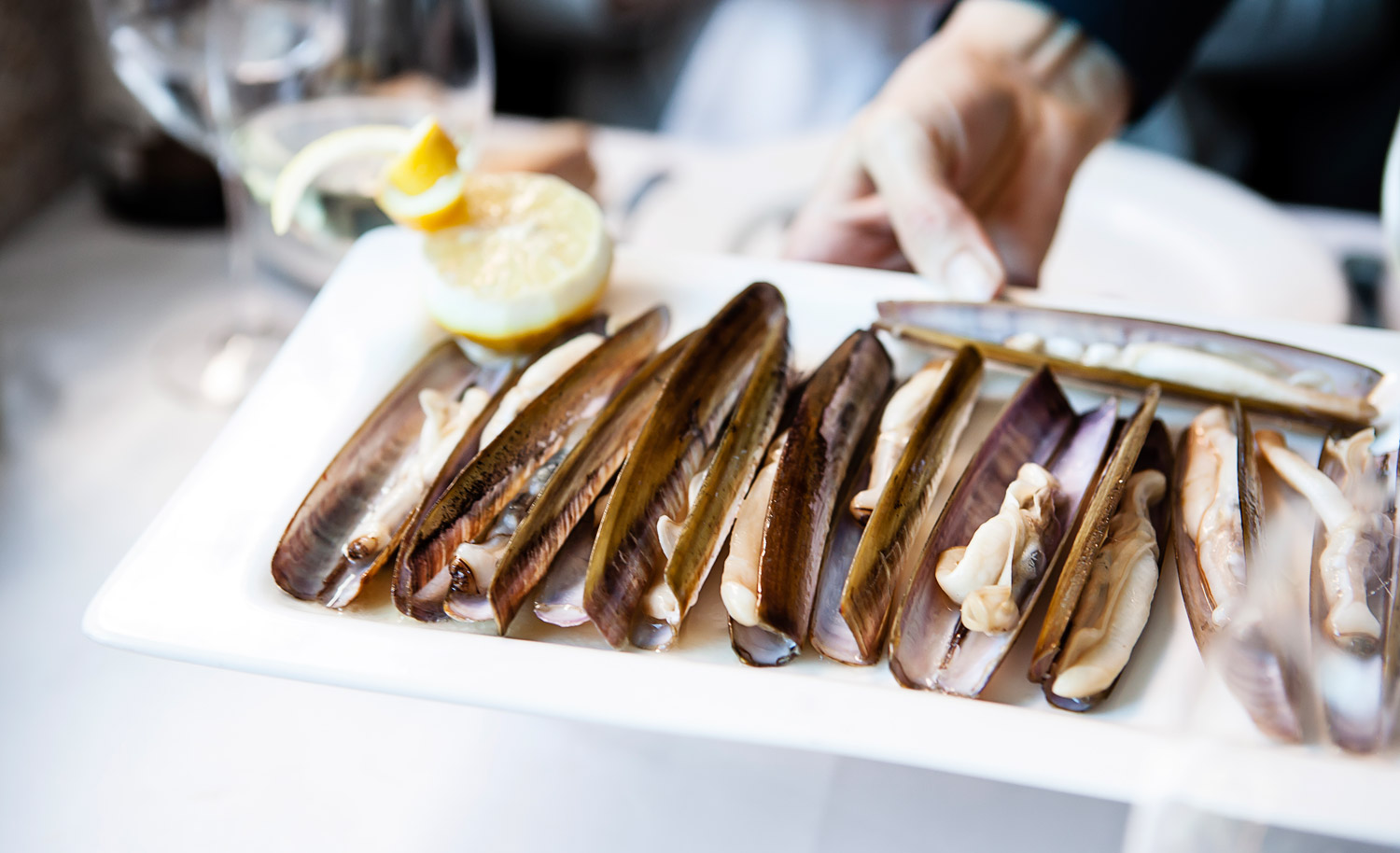 Razor-Clams-being-put-on-table.jpg