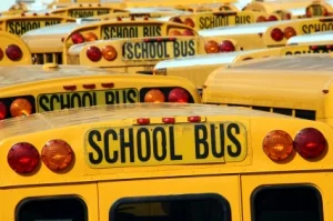 schoo-busseseducation1.jpg