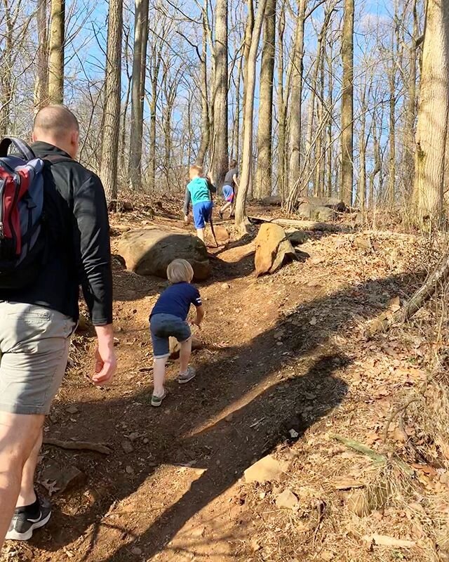 Hiking with these guys and the weather today was so refreshing.🙌🏼☀️And seeing Dax try to carry around the hiking stick he chose.😂