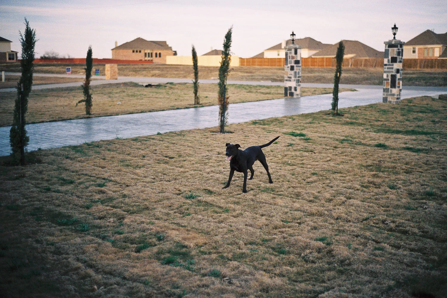 Moments-5.jpg