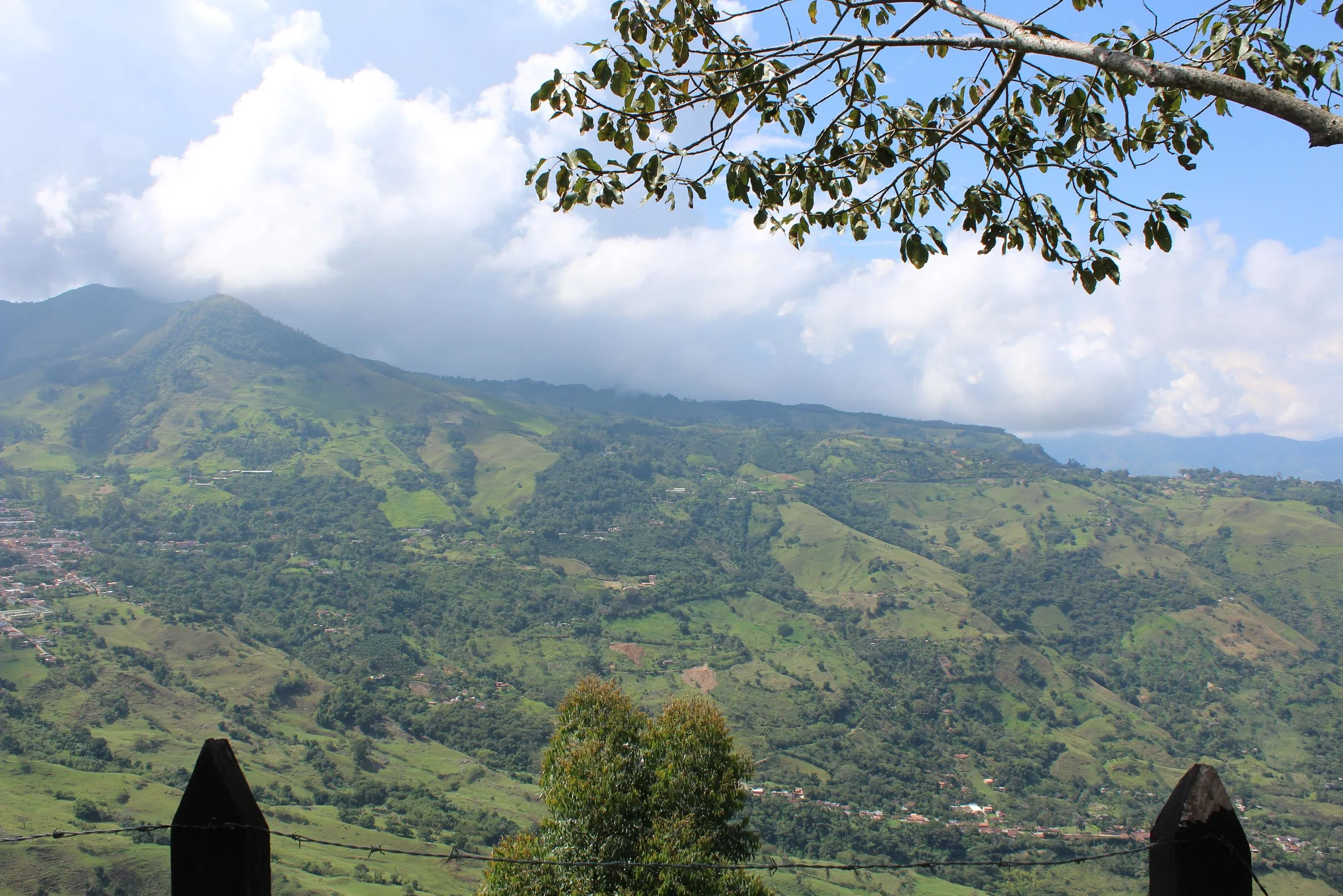 Finca La Maria 2.jpg