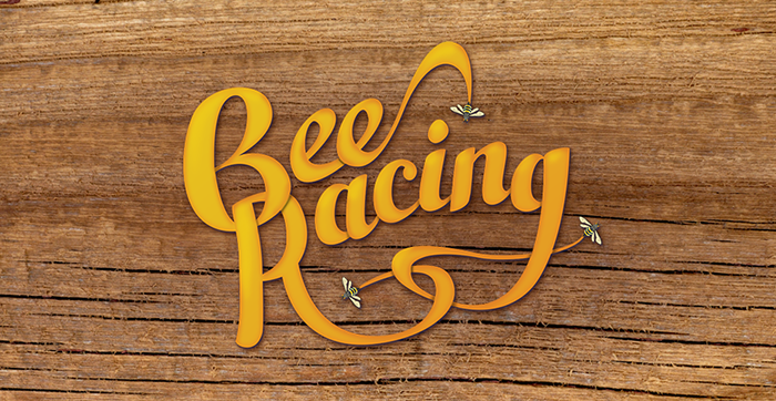 BeeRacing-WebLayout-1.png