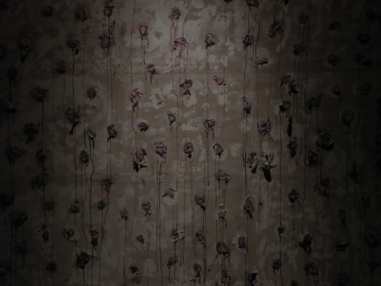 tumblr_lv3jqa9ccu1r2kfnio4_1280.jpg