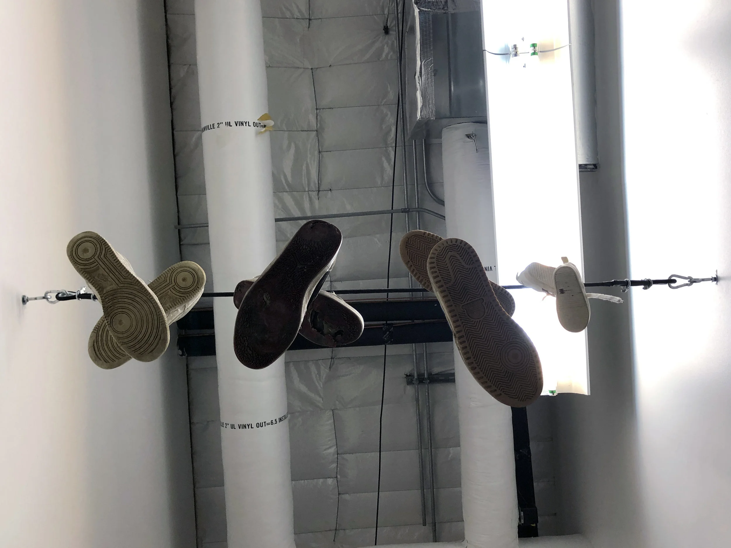 Penthos On Wire (Detail)