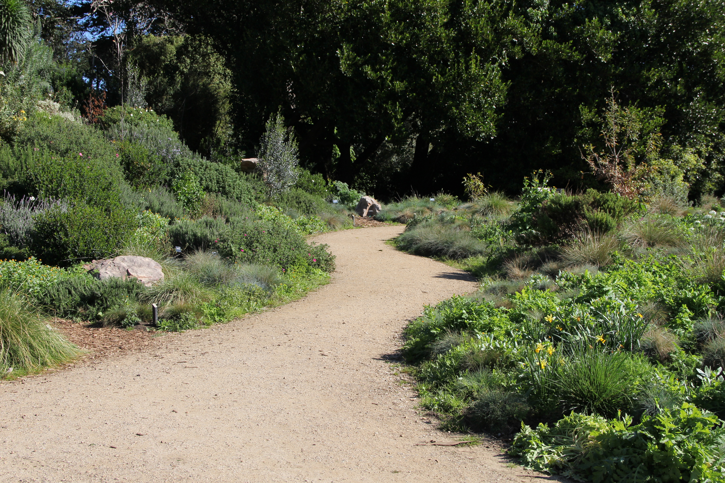 Botanical Garden | San Francisco
