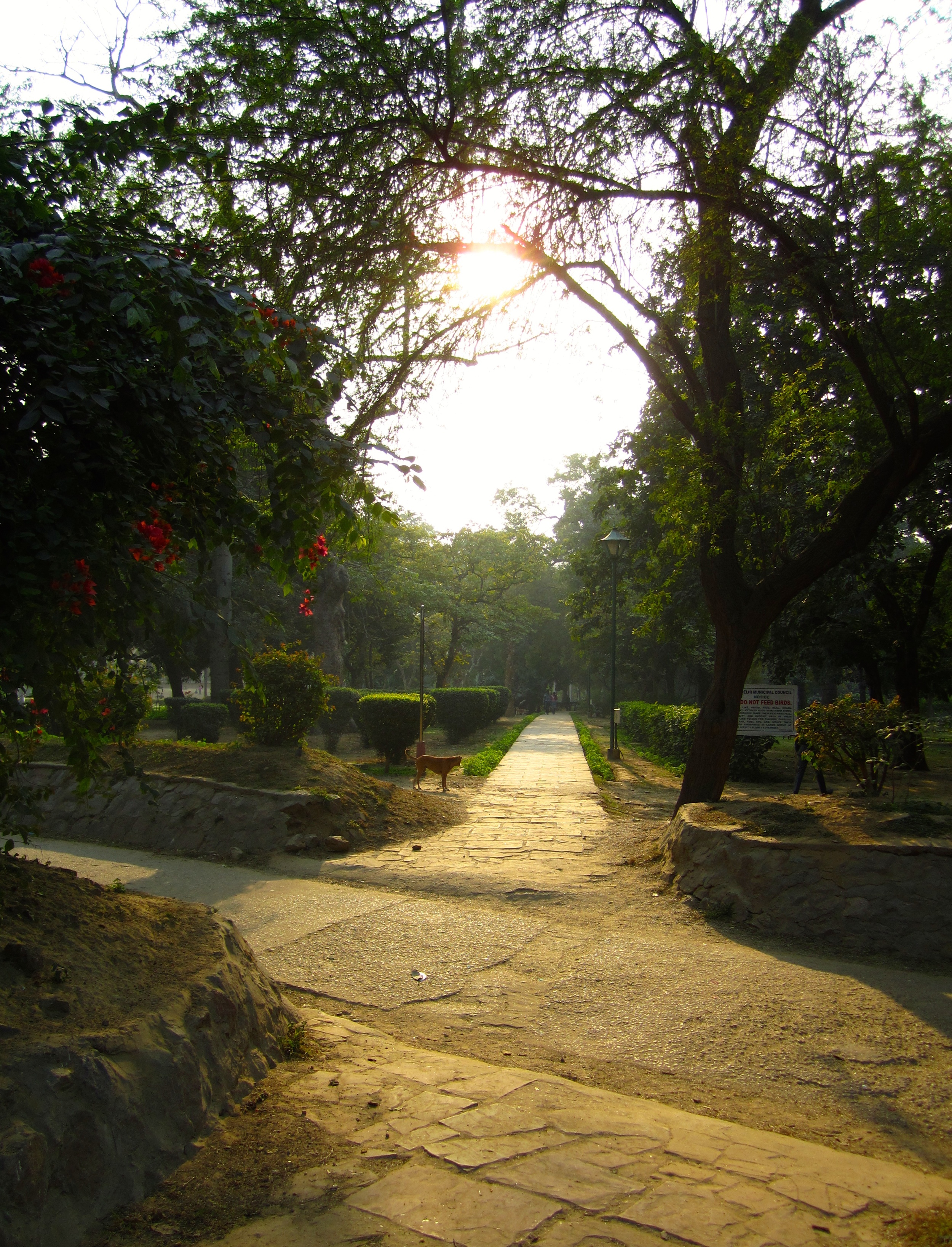 Delhi Agra 29Dec12 (18).jpg