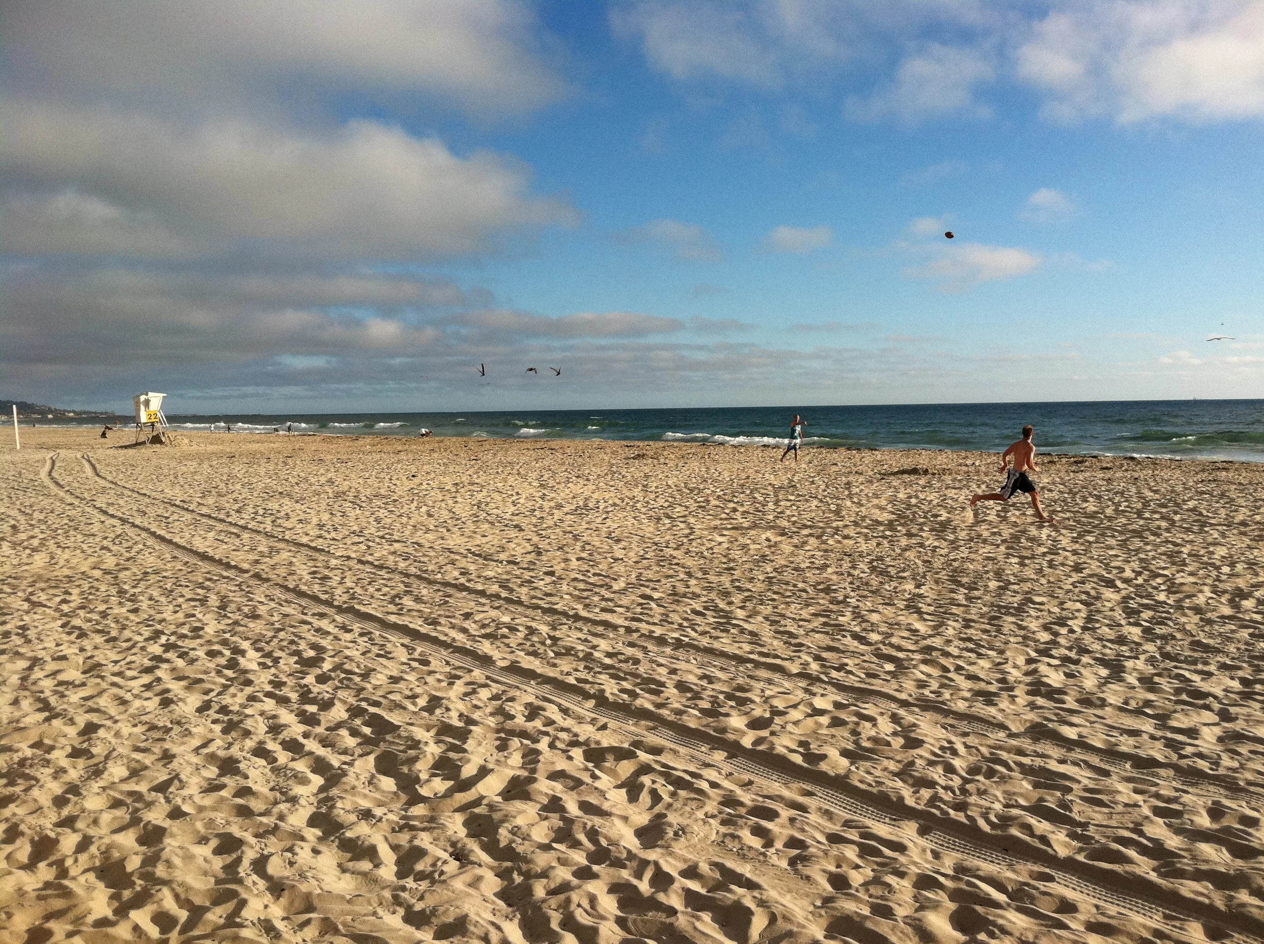 Granola Bars & Galician Octopus | San Diego