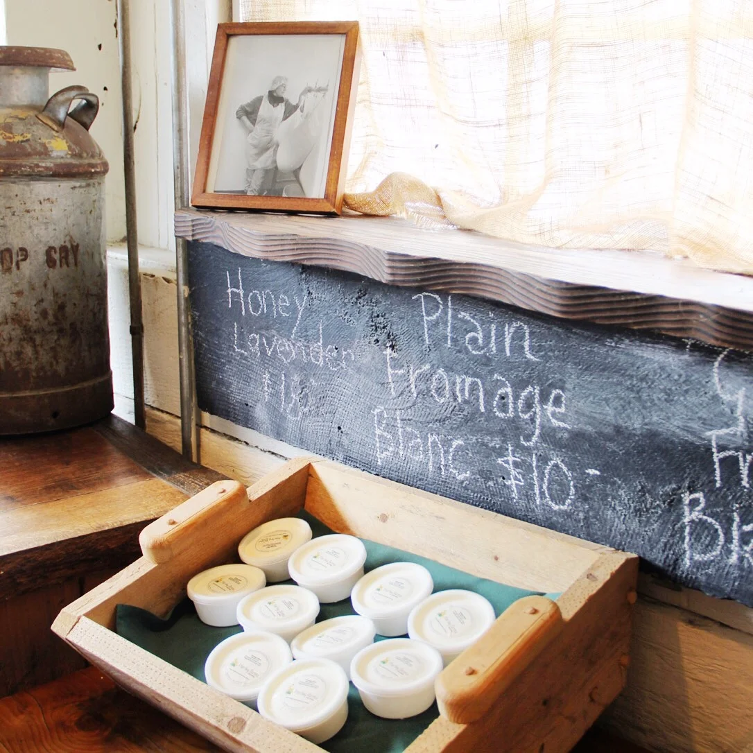 Harley Farms Goat Dairy | Pescadero