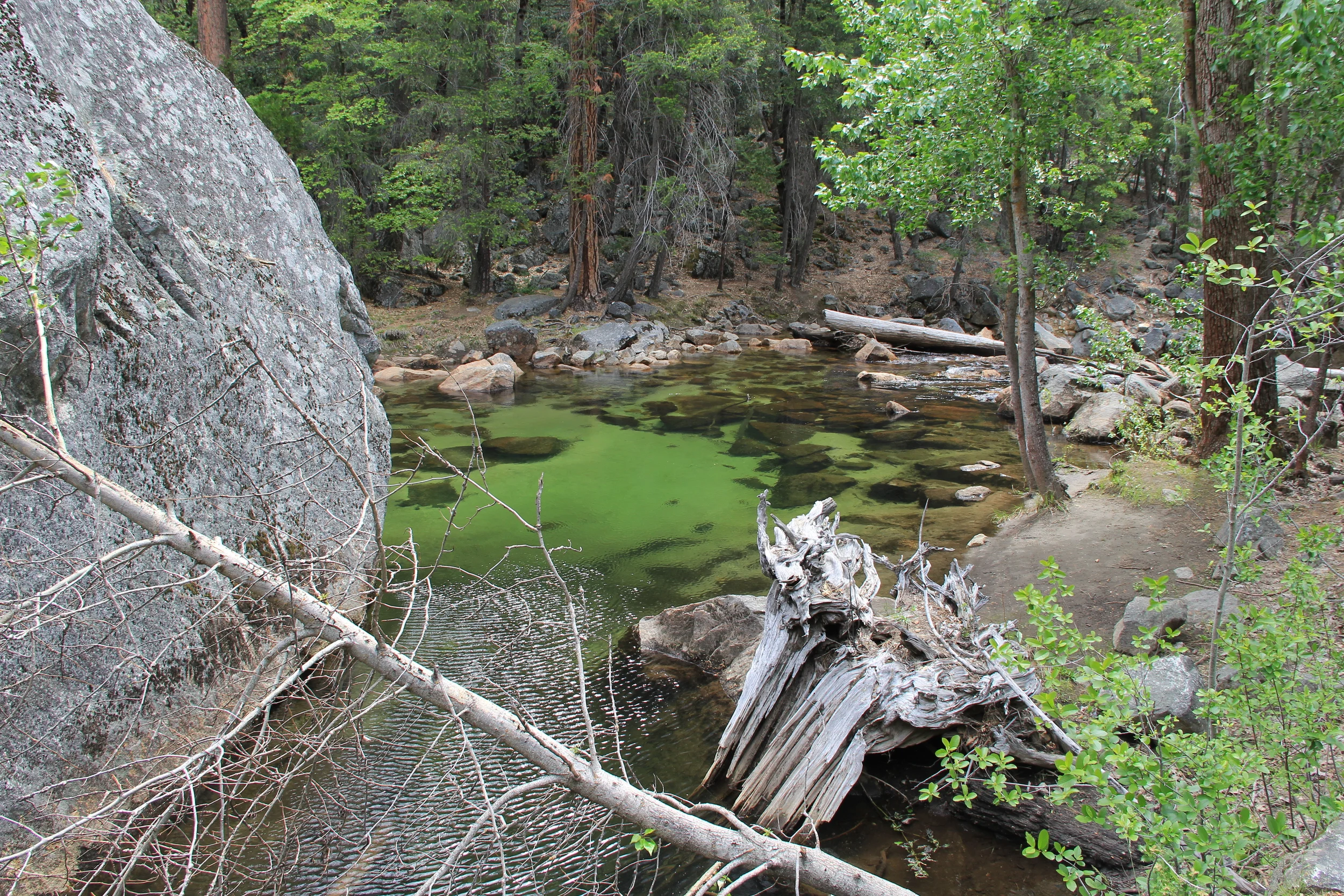 Pool near Mirror Lake