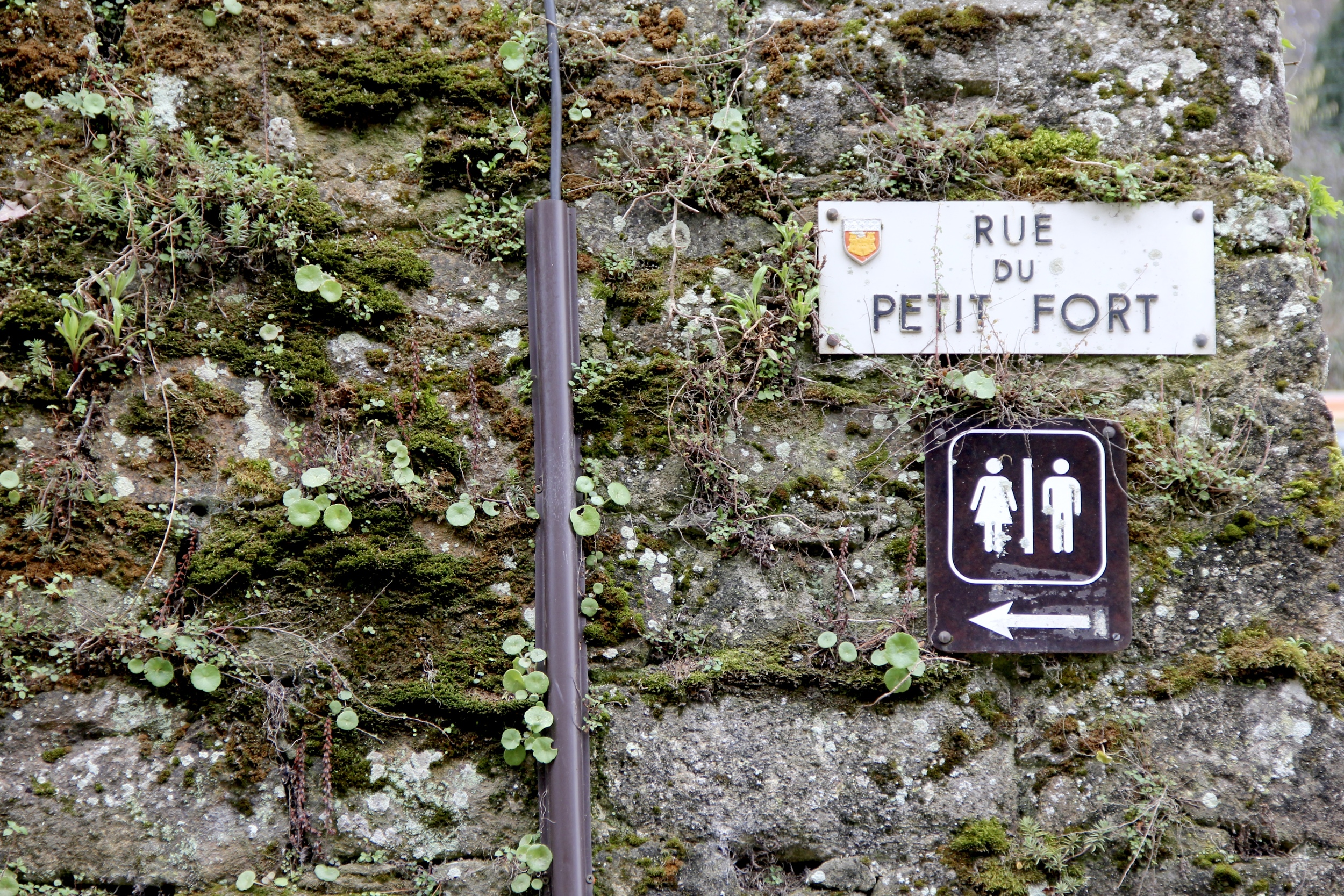 Restrooms this way, Rue du Petit-Fort | Dinan, France