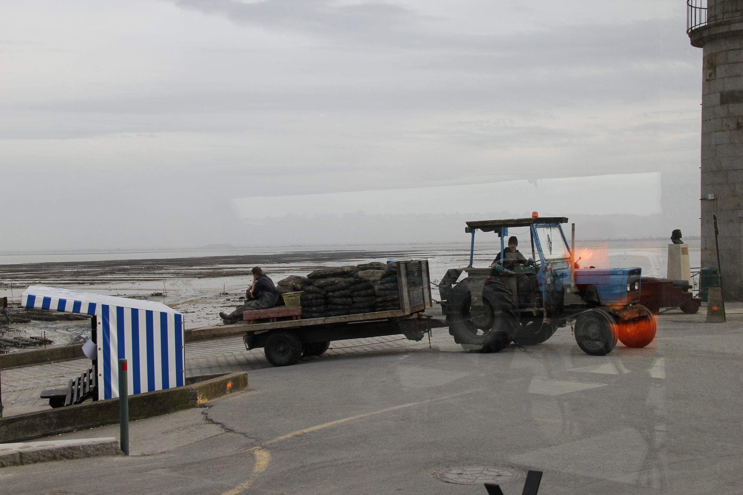 Bringing in the day's oysters via tractor | Cancale