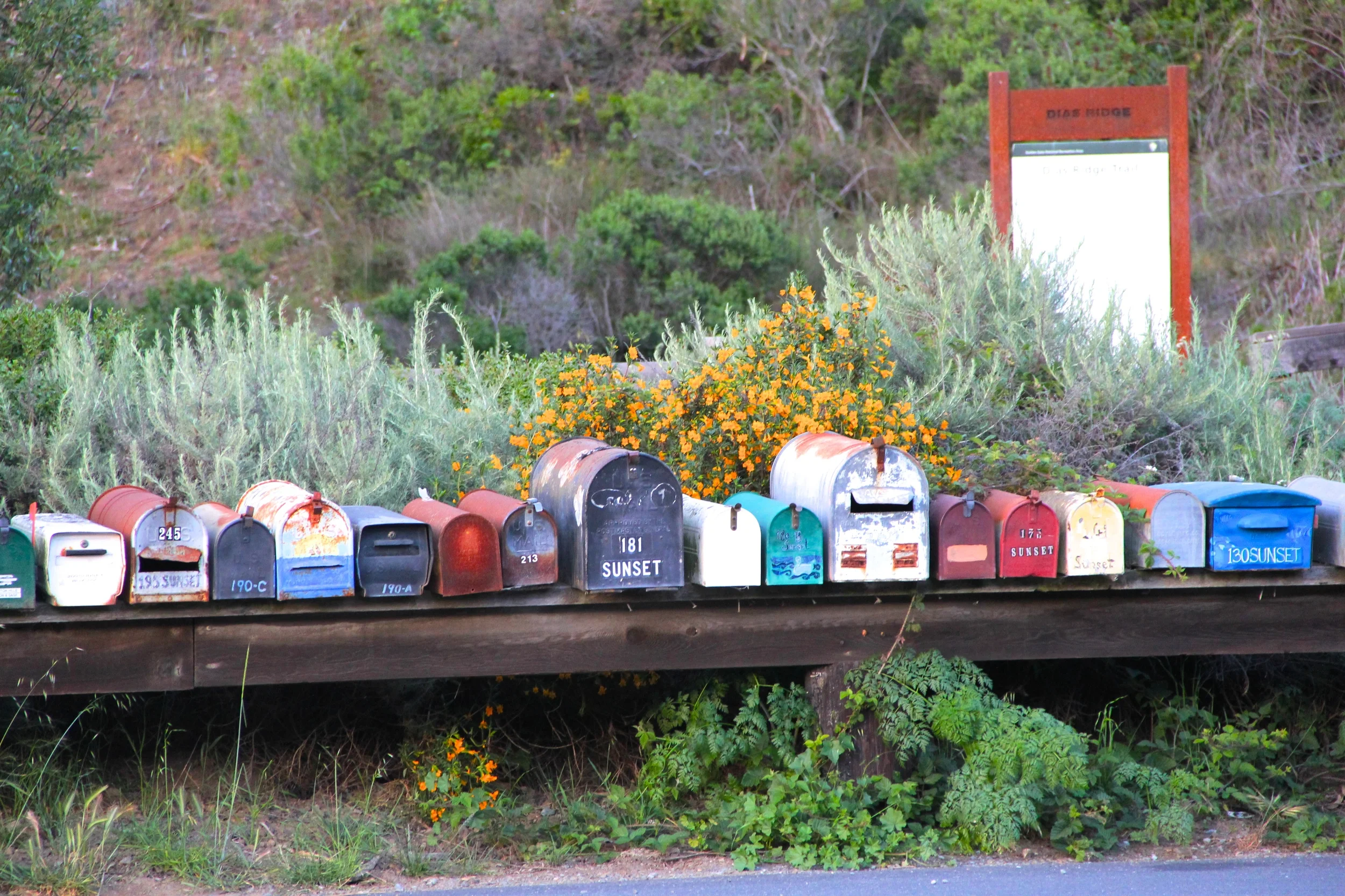 Epitome of Quaint | A Day at Muir Beach & The Pelican Inn