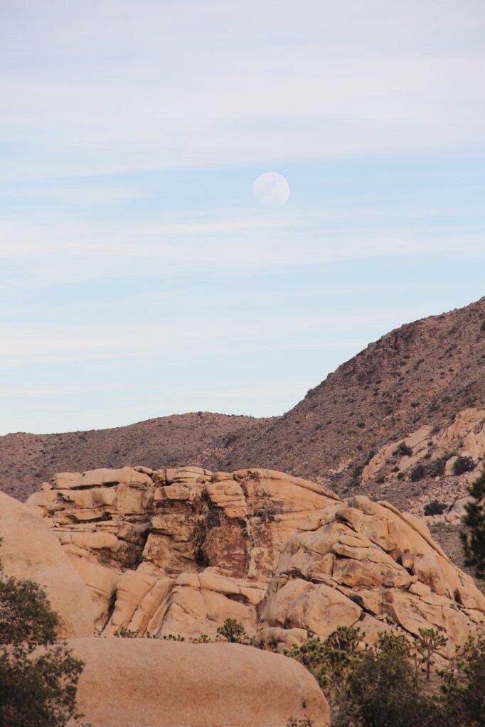 Moon Rise at Joshua Tree